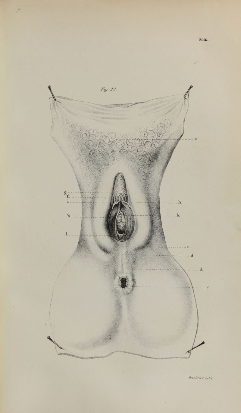 Fzff 32. fc:::I k \ A \ .. . irb£i?h.