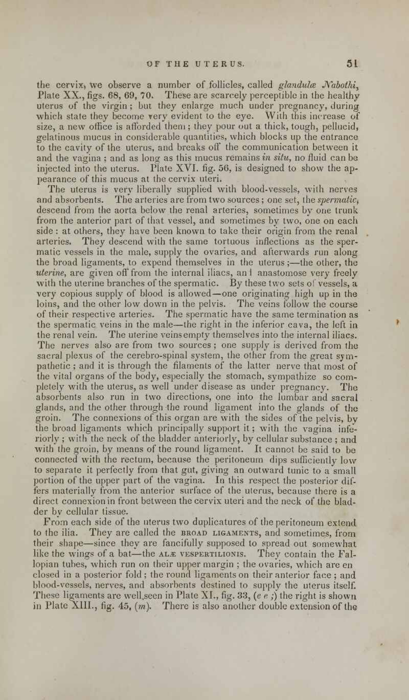 the cervix, we observe a number of follicles, called glandules JVabothiy Plate XX., figs. 68, 69, 70. These are scarcely perceptible in the healthy uterus of the virgin ; but they enlarge much under pregnancy, during which state they become very evident to the eye. With this increase of size, a new office is afforded them; they pour out a thick, tough, pellucid, gelatinous mucus in considerable quantities, which blocks up the entrance to the cavity of the uterus, and breaks off the communication between it and the vagina ; and as long as this mucus remains in situ, no fluid can be injected into the uterus. Plate XVI. fig. 56, is designed to show the ap- pearance of this mucus at the cervix uteri. The uterus is very liberally supplied with blood-vessels, with nerves and absorbents. The arteries are from two sources; one set, the spermatic^ descend from the aorta below the renal arteries, sometimes by one trunk from the anterior part of that vessel, and sometimes by two, one on each side : at others, they have been known to take their origin from the renal arteries. They descend with the same tortuous inflections as the sper- matic vessels in the male, supply the ovaries, and afterwards run along the broad ligaments, to expend themselves in the uterus;—the other, the uterine, are given off from the internal iliacs, ani anastomose very freely with the uterine branches of the spermatic. By these two sets of vessels, a very copious supply of blood is allowed—one originating high up in the loins, and the other low down in the pelvis. The veins follow the course of their respective arteries. The spermatic have the same termination as the spermatic veins in the male—the right in the inferior cava, the left in the renal vein. The uterine veins empty themselves into the internal iliacs. The nerves also are from two sources ; one supply is derived from the sacral plexus of the cerebro-spinal system, the other from the great sym- pathetic ; and it is through the filaments of the latter nerve that most of the vital organs of the body, especially the stomach, sympathize so com- pletely with the uterus, as well under disease as under pregnancy. The absorbents also run in two directions, one into the lumbar and sacral glands, and the other through the round ligament into the glands of the groin. The connexions of this organ are with the sides of the pelvis, by the broad ligaments which principally support it; with the vagina infe- riorly ; with the neck of the bladder anteriorly, by cellular substance ; and with the groin, by means of the round ligament. It cannot be said to be connected with the rectum, because the peritoneum dips sufficiently low to separate it perfectly from that gut, giving an outward tunic to a small portion of the upper part of the vagina. In this respect the posterior dif- fers materially from the anterior surface of the uterus, because there is a direct connexion in front between the cervix uteri and the neck of the blad- der by cellular tissue. From each side of the uterus two duplicatures of the peritoneum extend to the ilia. They are called the broad ligaments, and sometimes, from their shape—since they are fancifully supposed to spread out somewhat like the wings of a bat—-the al,e vespertilionis. They contain the Fal- lopian tubes, which run on their upper margin ; the ovaries, which are en closed in a posterior fold ; the round ligaments on their anterior face ; and blood-vessels, nerves, and absorbents destined to supply the uterus itself. These ligaments are well.seen in Plate XL, fig. 33, (e e ;j the right is shown in Plate XIII., fig. 45, (m). There is also another double extension of the