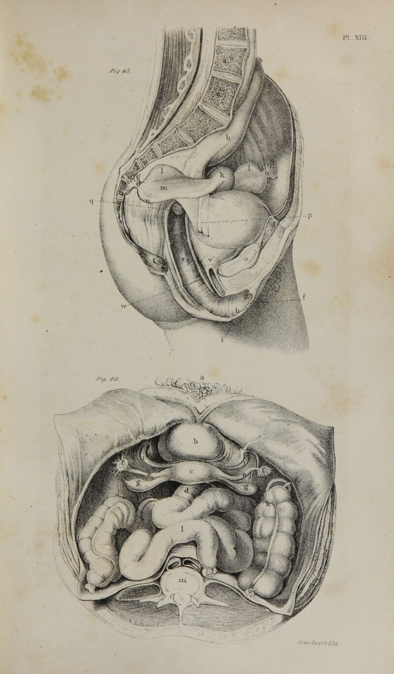 .1, XIII <,■>/./,, ■