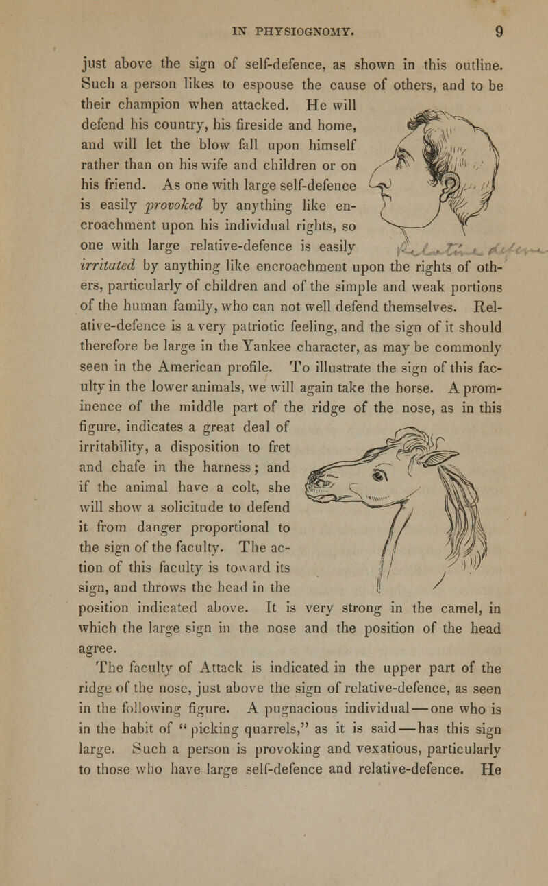 just above the sign of self-defence, as shown in this outline. Such a person likes to espouse the cause of others, and to be their champion when attacked. He will defend his country, his fireside and home, and will let the blow fall upon himself rather than on his wife and children or on his friend. As one with large self-defence is easily provoked by anything like en- croachment upon his individual rights, so one with large relative-defence is easily irritated by anything like encroachment upon the rights of oth- ers, particularly of children and of the simple and weak portions of the human family, who can not well defend themselves. Rel- ative-defence is a very patriotic feeling, and the sign of it should therefore be large in the Yankee character, as may be commonly seen in the American profile. To illustrate the sign of this fac- ulty in the lower animals, we will again take the horse. A prom- inence of the middle part of the ridge of the nose, as in this figure, indicates a great deal of irritability, a disposition to fret and chafe in the harness; and if the animal have a colt, she will show a solicitude to defend it from danger proportional to the sign of the faculty. The ac- tion of this faculty is toward its sign, and throws the head in the position indicated above. It is very strong in the camel, in which the large sign in the nose and the position of the head agree. The faculty of Attack is indicated in the upper part of the ridge of the nose, just above the sign of relative-defence, as seen in the following figure. A pugnacious individual — one who is in the habit of picking quarrels, as it is said — has this sign large. Such a person is provoking and vexatious, particularly to those who have large self-defence and relative-defence. He