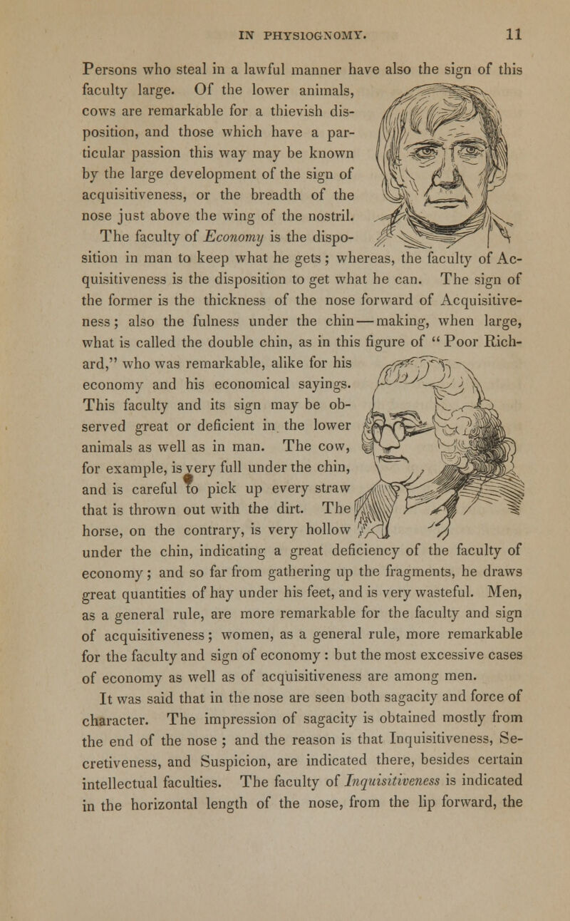 Persons who steal in a lawful manner have also the sign of this faculty large. Of the lower animals, cows are remarkable for a thievish dis- position, and those which have a par- ticular passion this way may be known by the large development of the sign of acquisitiveness, or the breadth of the nose just above the wing of the nostril. The faculty of Eco?iomij is the dispo- sition in man to keep what he gets; whereas, the faculty of Ac- quisitiveness is the disposition to get what he can. The sign of the former is the thickness of the nose forward of Acquisitive- ness; also the fulness under the chin — making, when large, what is called the double chin, as in this figure of  Poor Rich- ard, who was remarkable, alike for his economy and his economical sayings. This faculty and its sign may be ob- served great or deficient in the lower animals as well as in man. The cow, for example, is very full under the chin, and is careful To pick up every straw that is thrown out with the dirt. The horse, on the contrary, is very hollow ^ under the chin, indicating a great deficiency of the faculty of economy; and so far from gathering up the fragments, he draws great quantities of hay under his feet, and is very wasteful. Men, as a general rule, are more remarkable for the faculty and sign of acquisitiveness; women, as a general rule, more remarkable for the faculty and sign of economy : but the most excessive cases of economy as well as of acquisitiveness are among men. It was said that in the nose are seen both sagacity and force of character. The impression of sagacity is obtained mostly from the end of the nose ; and the reason is that Inquisitiveness, Se- cretiveness, and Suspicion, are indicated there, besides certain intellectual faculties. The faculty of Inquisitiveness is indicated in the horizontal length of the nose, from the lip forward, the