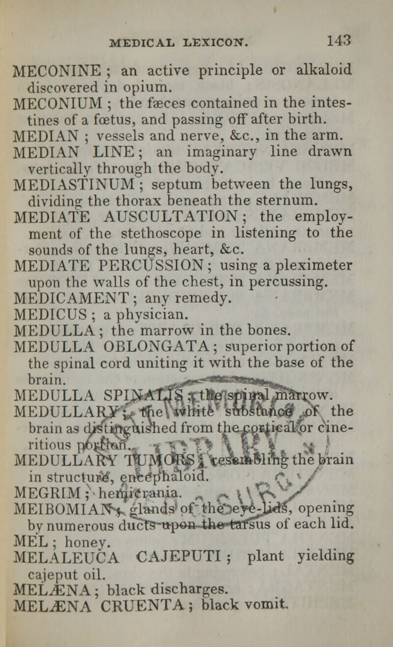 MECONINE ; an active principle or alkaloid discovered in opium. MECONIUM ; the faeces contained in the intes- tines of a foetus, and passing off after birth. MEDIAN ; vessels and nerve, &c, in the arm. MEDIAN LINE; an imaginary line drawn vertically through the body. MEDIASTINUM ; septum between the lungs, dividing the thorax beneath the sternum. MEDIATE AUSCULTATION; the employ- ment of the stethoscope in listening to the sounds of the lungs, heart, &c. MEDIATE PERCUSSION; using a pleximeter upon the walls of the chest, in percussing. MEDICAMENT; any remedy. MEDICUS ; a physician. MEDULLA ; the marrow in the bones. MEDULLA OBLONGATA; superior portion of the spinal cord uniting it with the base of the brain. MEDULLA SPL*MrtK#«Ws$^rl^Mw. MEDULLAR^* *e\'4*tateH?mlMc# j* the brain as drsliftgtushed from thexos^eakpr cine- ritious pib^rT.a * ^TVf * \ i? V MEDULLARY TfoMCtR£l*esV*Rlftig the brain in structui&, en'ee'rlhaloid. MEGRIM ; ■hertjicrania. „ ^ \\\ MEIBOMIAN^ glands'of th&eyj^jAS, opening bv numerous duct^-u-p«a~th«-tafsus of each lid. MEL; honey. MELALEUCA CAJEPUTI ; plant yielding cajeput oil. MEL^ENA; black discharges. MEL^ENA CRUENTA ; black vomit.