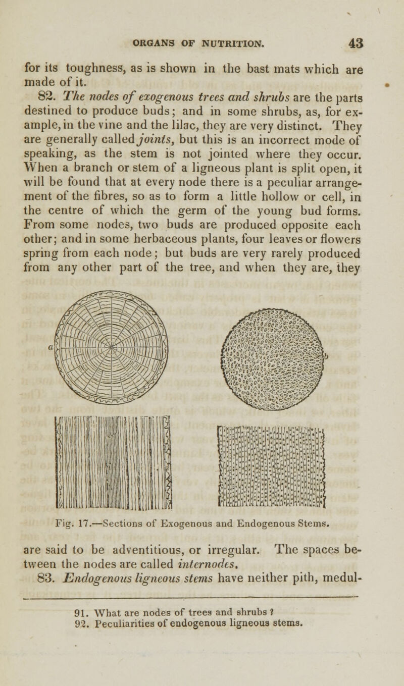 for its toughness, as is shown in the bast mats which are made of it. 82. The nodes of exogenous trees and shrubs are the parts destined to produce buds; and in some shrubs, as, for ex- ample, in the vine and the lilac, they are very distinct. They are generally called joints, but this is an incorrect mode of speaking, as the stem is not jointed where they occur. When a branch or stem of a ligneous plant is split open, it will be found that at every node there is a peculiar arrange- ment of the fibres, so as to form a little hollow or cell, in the centre of which the germ of the young bud forms. From some nodes, two buds are produced opposite each other; and in some herbaceous plants, four leaves or flowers spring from each node; but buds are very rarely produced from any other part of the tree, and when they are, they Fig. 17.—Sections of Exogenous and Endogenous Stems. are said to be adventitious, or irregular. The spaces be- tween the nodes are called intcrnodts. 83. Endogenous ligneous stems have neither pith, medul- 91. What are nodes of trees and shrubs ? 92. Peculiarities of endogenous ligneous stems.