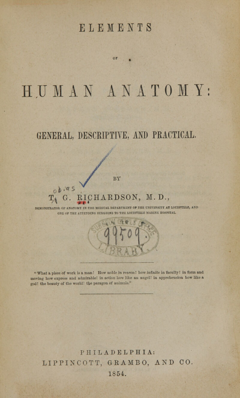 HUMAN ANATOMY: GENERAL, DESCRIPTIVE, AND PRACTICAL. Ti G. RICHARDSON, M. D., DEMONSTRATOR OF ANATOMT IN THE MEDICAL DEPARTMENT OF THE UNIVERSITY AT LOUISVILLE, AND ONE OF THE ATTENDING SURGEONS TO THE LOUISVILLE MARINE HOSPITAL.  What a piece of work is a man! How noble in reason! how infinite in faculty! in form and moving how express and admirable! in action how like an angel! in apprehension how like a god! the beauty of the world! the paragon of animals. PHILADELPHIA: LIPPINGOTT, GRAMBO, AND CO. 1854.