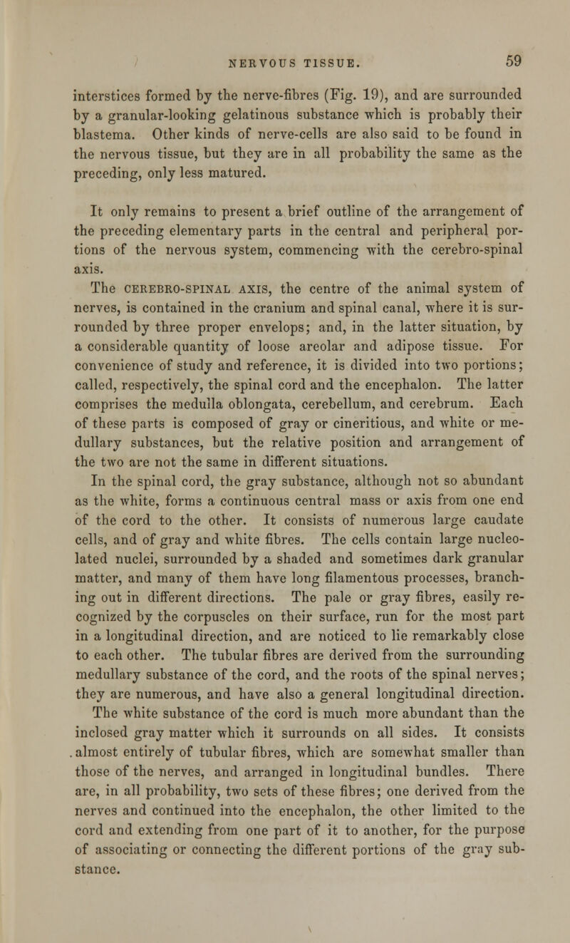 interstices formed by the nerve-fibres (Fig. 19), and are surrounded by a granular-looking gelatinous substance which is probably their blastema. Other kinds of nerve-cells are also said to be found in the nervous tissue, but they are in all probability the same as the preceding, only less matured. It only remains to present a brief outline of the arrangement of the preceding elementary parts in the central and peripheral por- tions of the nervous system, commencing with the cerebro-spinal axis. The cerebro-spinal axis, the centre of the animal system of nerves, is contained in the cranium and spinal canal, where it is sur- rounded by three proper envelops; and, in the latter situation, by a considerable quantity of loose areolar and adipose tissue. For convenience of study and reference, it is divided into two portions; called, respectively, the spinal cord and the encephalon. The latter comprises the medulla oblongata, cerebellum, and cerebrum. Each of these parts is composed of gray or cineritious, and white or me- dullary substances, but the relative position and arrangement of the two are not the same in different situations. In the spinal cord, the gray substance, although not so abundant as the white, forms a continuous central mass or axis from one end of the cord to the other. It consists of numerous large caudate cells, and of gray and white fibres. The cells contain large nucleo- lated nuclei, surrounded by a shaded and sometimes dark granular matter, and many of them have long filamentous processes, branch- ing out in different directions. The pale or gray fibres, easily re- cognized by the corpuscles on their surface, run for the most part in a longitudinal direction, and are noticed to lie remarkably close to each other. The tubular fibres are derived from the surrounding medullary substance of the cord, and the roots of the spinal nerves; they are numerous, and have also a general longitudinal direction. The white substance of the cord is much more abundant than the inclosed gray matter which it surrounds on all sides. It consists . almost entirely of tubular fibres, which are somewhat smaller than those of the nerves, and arranged in longitudinal bundles. There are, in all probability, two sets of these fibres; one derived from the nerves and continued into the encephalon, the other limited to the cord and extending from one part of it to another, for the purpose of associating or connecting the different portions of the gray sub- stance.