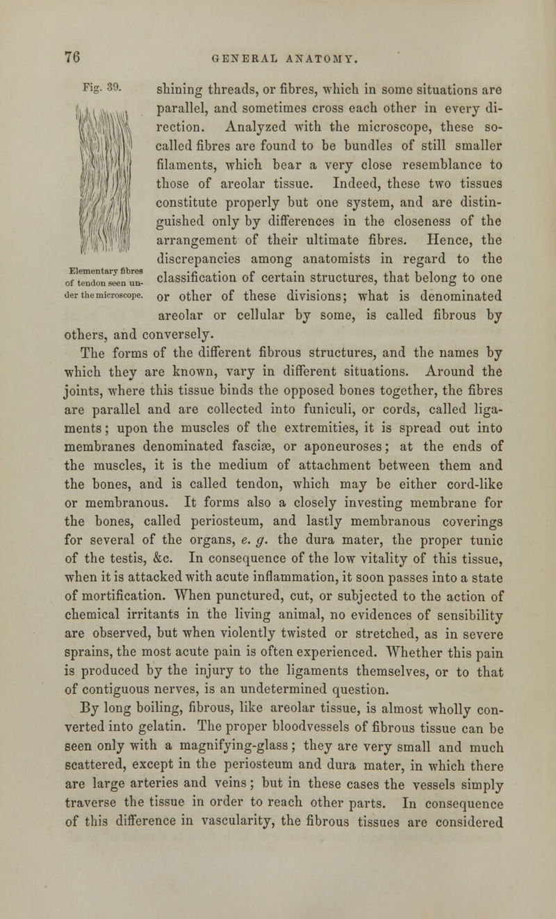 Elementary fibres of tendon seen un- der the microscope. Fig. 39. shining threads, or fibres, which in some situations are parallel, and sometimes cross each other in every di- rection. Analyzed with the microscope, these so- called fibres are found to be bundles of still smaller filaments, which bear a very close resemblance to those of areolar tissue. Indeed, these two tissues constitute properly but one system, and are distin- guished only by differences in the closeness of the arrangement of their ultimate fibres. Hence, the discrepancies among anatomists in regard to the classification of certain structures, that belong to one or other of these divisions; what is denominated areolar or cellular by some, is called fibrous by others, and conversely. The forms of the different fibrous structures, and the names by which they are known, vary in different situations. Around the joints, where this tissue binds the opposed bones together, the fibres are parallel and are collected into funiculi, or cords, called liga- ments ; upon the muscles of the extremities, it is spread out into membranes denominated fasciae, or aponeuroses; at the ends of the muscles, it is the medium of attachment between them and the bones, and is called tendon, which may be either cord-like or membranous. It forms also a closely investing membrane for the bones, called periosteum, and lastly membranous coverings for several of the organs, e. g. the dura mater, the proper tunic of the testis, &c. In consequence of the low vitality of this tissue, when it is attacked with acute inflammation, it soon passes into a state of mortification. When punctured, cut, or subjected to the action of chemical irritants in the living animal, no evidences of sensibility are observed, but when violently twisted or stretched, as in severe sprains, the most acute pain is often experienced. Whether this pain is produced by the injury to the ligaments themselves, or to that of contiguous nerves, is an undetermined question. By long boiling, fibrous, like areolar tissue, is almost wholly con- verted into gelatin. The proper bloodvessels of fibrous tissue can be seen only with a magnifying-glass; they are very small and much scattered, except in the periosteum and dura mater, in which there are large arteries and veins; but in these cases the vessels simply traverse the tissue in order to reach other parts. In consequence of this difference in vascularity, the fibrous tissues are considered