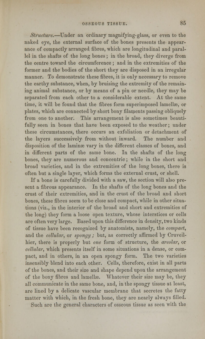 Structure.—Under an ordinary magnifying-glass, or even to the naked eye, the external surface of the bones presents the appear- ance of compactly arranged fibres, which are longitudinal and paral- lel in the shafts of the long bones; in the broad, they diverge from the centre toward the circumference; and in the extremities of the former and the bodies of the short they are disposed in an irregular manner. To demonstrate these fibres, it is only necessary to remove the earthy substance, when, by bruising the extremity of the remain- ing animal substance, or by means of a pin or needle, they may be separated from each other to a considerable extent. At the same time, it will be found that the fibres form superimposed lamellae, or plates, which are connected by short bony filaments passing obliquely from one to another. This arrangement is also sometimes beauti- fully seen in bones that have been exposed to the weather; under these circumstances, there occurs an exfoliation or detachment of the layers successively from without inward. The number and disposition of the laminae vary in the different classes of bones, and in different parts of the same bone. In the shafts of the long bones, they are numerous and concentric; while in the short and broad varieties, and in the extremities of the long bones, there is often but a single layer, which forms the external crust, or shell. If a bone is carefully divided with a saw, the section will also pre- sent a fibrous appearance. In the shafts of the long bones and the crust of their extremities, and in the crust of the broad and short bones, these fibres seem to be close and compact, while in other situa- tions (viz., in the interior of the broad and short and extremities of the long) they form a loose open texture, whose interstices or cells are often very large. Based upon this difference in density, two kinds of tissue have been recognized by anatomists, namely, the compact, and the cellular, or spongy ; but, as correctly affirmed by Cruveil- hier, there is properly but one form of structure, the areolar, or cellular, which presents itself in some situations in a dense, or com- pact, and in others, in an open spongy form. The two varieties insensibly blend into each other. Cells, therefore, exist in all parts of the bones, and their size and shape depend upon the arrangement of the bony fibres and lamellae. Whatever their size may be, they all communicate in the same bone, and, in the spongy tissue at least, are lined by a delicate vascular membrane that secretes the fatty matter with which, in the fresh bone, they are nearly always filled. Such are the general characters of osseous tissue as seen with the