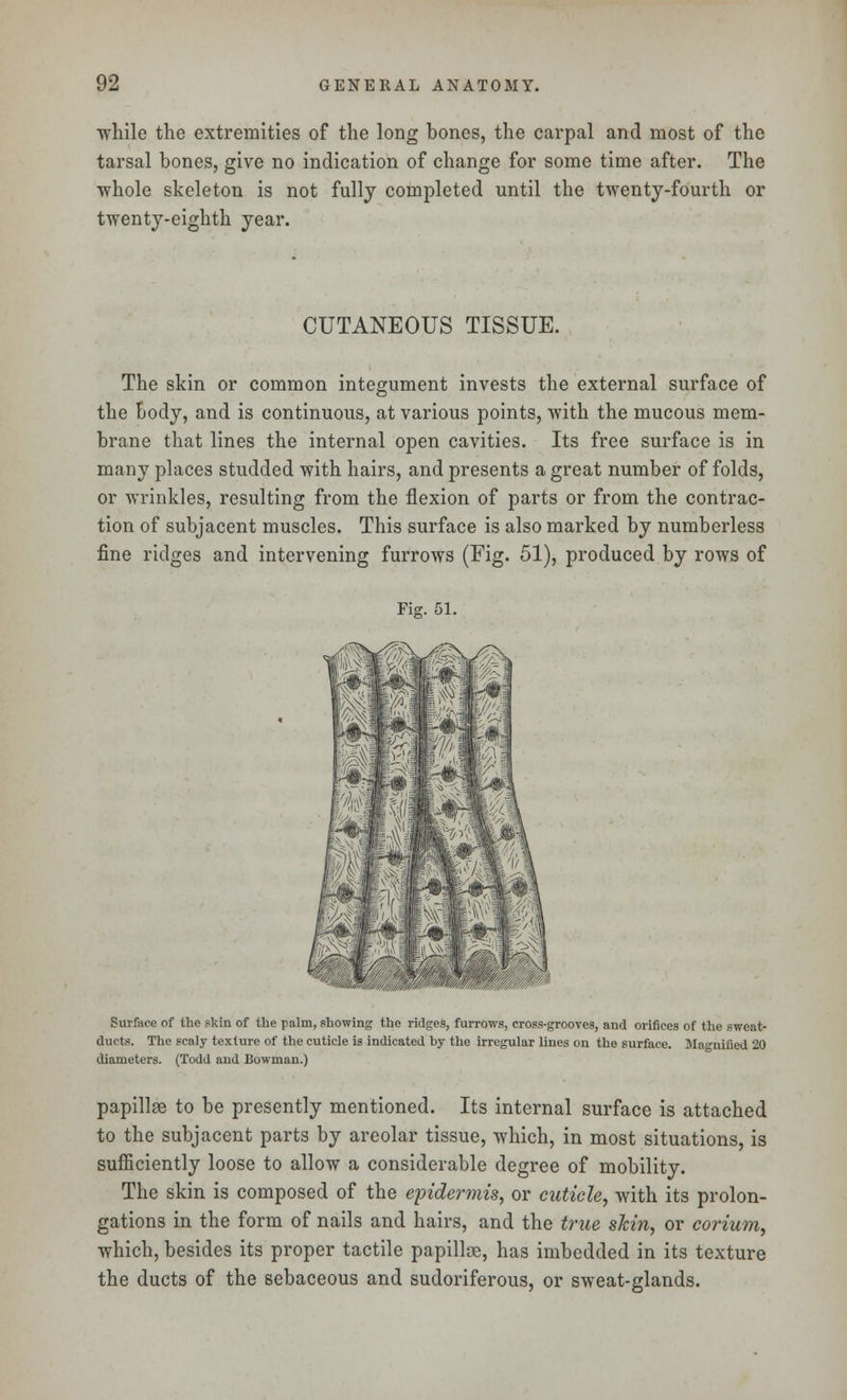 while the extremities of the long bones, the carpal and most of the tarsal bones, give no indication of change for some time after. The ■whole skeleton is not fully completed until the twenty-fourth or twenty-eighth year. CUTANEOUS TISSUE. The skin or common integument invests the external surface of the body, and is continuous, at various points, with the mucous mem- brane that lines the internal open cavities. Its free surface is in many places studded with hairs, and presents a great number of folds, or wrinkles, resulting from the flexion of parts or from the contrac- tion of subjacent muscles. This surface is also marked by numberless fine ridges and intervening furrows (Fig. 51), produced by rows of Fig. 51. Surface of the skin of the palm, showing the ridges, furrows, cross-grooves, and orifices of the sweat- ducts. The scaly texture of the cuticle is indicated by the irregular lines on the surface. Magnified 20 diameters. (Todd and Bowman.) papillae to be presently mentioned. Its internal surface is attached to the subjacent parts by areolar tissue, which, in most situations, is sufficiently loose to allow a considerable degree of mobility. The skin is composed of the epidermis, or cuticle, with its prolon- gations in the form of nails and hairs, and the true skin, or corium, which, besides its proper tactile papillae, has imbedded in its texture the ducts of the sebaceous and sudoriferous, or swTeat-glands.