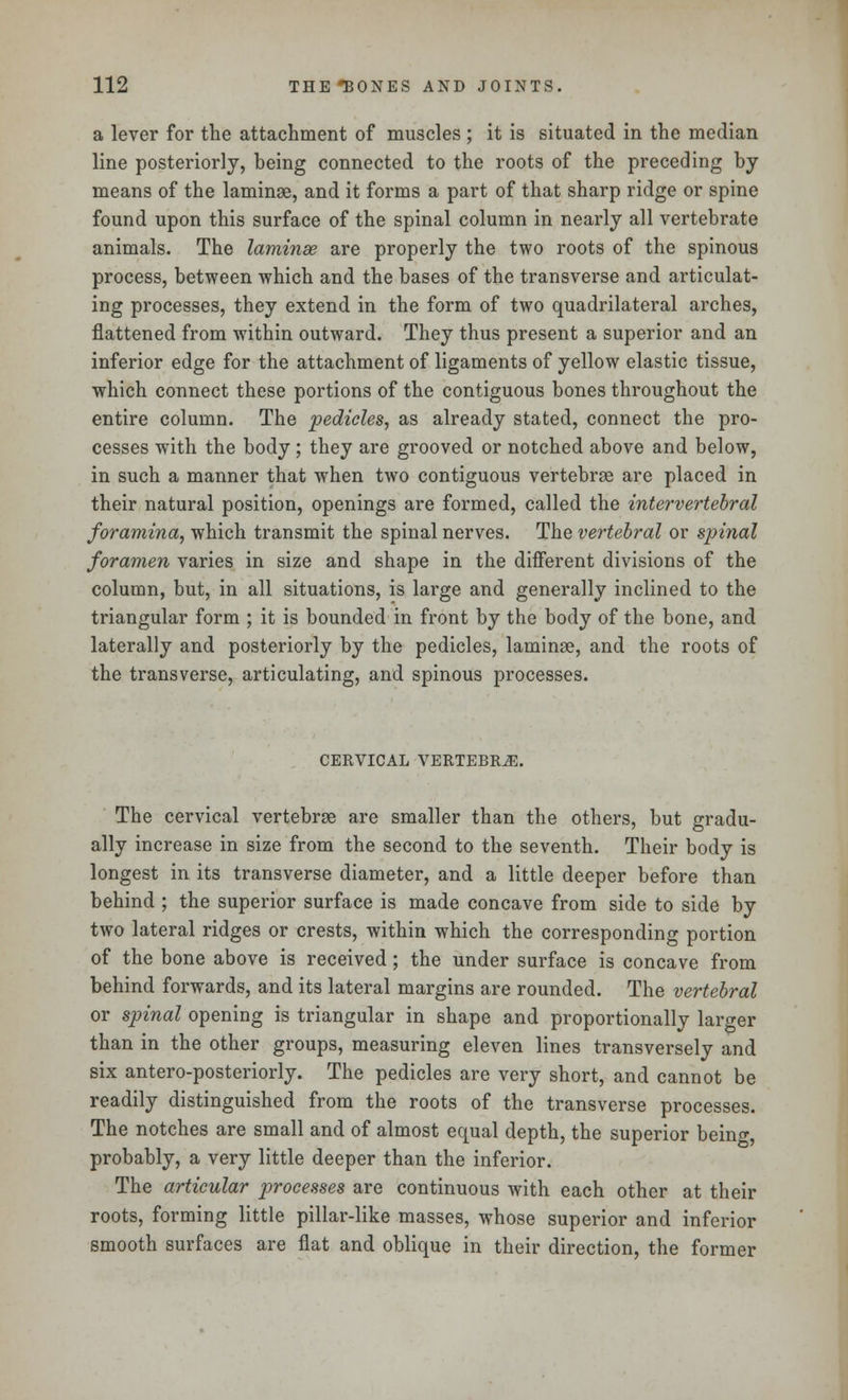 a lever for the attachment of muscles ; it is situated in the median line posteriorly, being connected to the roots of the preceding by means of the laminae, and it forms a part of that sharp ridge or spine found upon this surface of the spinal column in nearly all vertebrate animals. The laminae are properly the two roots of the spinous process, between which and the bases of the transverse and articulat- ing processes, they extend in the form of two quadrilateral arches, flattened from within outward. They thus present a superior and an inferior edge for the attachment of ligaments of yellow elastic tissue, which connect these portions of the contiguous bones throughout the entire column. The pedicles, as already stated, connect the pro- cesses with the body; they are grooved or notched above and below, in such a manner that when two contiguous vertebrae are placed in their natural position, openings are formed, called the intervertebral foramina, which transmit the spinal nerves. The vertebral or spinal foramen varies in size and shape in the different divisions of the column, but, in all situations, is large and generally inclined to the triangular form ; it is bounded in front by the body of the bone, and laterally and posteriorly by the pedicles, laminae, and the roots of the transverse, articulating, and spinous processes. CEKVICAL VERTEBRAE. The cervical vertebrae are smaller than the others, but gradu- ally increase in size from the second to the seventh. Their body is longest in its transverse diameter, and a little deeper before than behind ; the superior surface is made concave from side to side by two lateral ridges or crests, within which the corresponding portion of the bone above is received; the under surface is concave from behind forwards, and its lateral margins are rounded. The vertebral or spinal opening is triangular in shape and proportionally larger than in the other groups, measuring eleven lines transversely and six antero-posteriorly. The pedicles are very short, and cannot be readily distinguished from the roots of the transverse processes. The notches are small and of almost equal depth, the superior beino-, probably, a very little deeper than the inferior. The articular processes are continuous with each other at their roots, forming little pillar-like masses, whose superior and inferior smooth surfaces are flat and oblique in their direction, the former