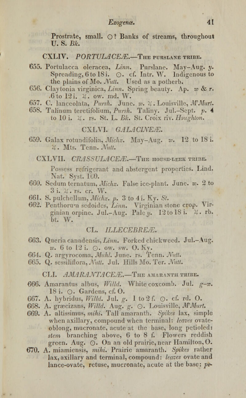 Prostrate, small. Ql Banks of streams, throughout U. S. Bk. CXLIV. PORTULACEM.—Tnv purslane tribe. 655. Portulacca oleracea, Linn. Purslane. May-Aug. y. Spreading, 6 to 18 i. O- cf. Intr. W. Indigenous to the plains of Mo. Nutt. Used as a potherb. C56. Claytonia virginica, Linn. Spring beauty. Ap. w & r. .6 to 12 i. U, ow. md. W. 657. C. lanceolata, Pursh. June, w. U. Louisville, M'Murt. 658. Talinum teretifolium, Pursh. Taliny. Jul.-Sept. p. 4 to 10 i. 2;. rs. St. L. Bk. St. Croix riv. Houghton. CXLVI. GALACINEJE. 659. Galax rotundifolia, Michx. May-Aug. w. 12 to 18 i. U. Mts. Tenn. Nutt. CXLVII. CRASSULACEJE.—Tiie house-leek tribe. Possess refrigerant and abstergent properties. Lind. Nat. Syst. ICO. 660. Sedum ternatum, Michx. False ice-plant. June. w. 2 to 3 i. 11. rs. cr. W. 661. S. pulchellum, Michx. p. 3 to 4i. Ky. St. 662. Penthorum sedoides, Linn. Virginian stone crop. Vir- ginian orpine. Jul.-Aug. Pale v. 12 to 18 i. U. rb. bt. W. CL. ILLECEBREM. 663. Queria canadensis, Linn. Forked chickwecd. Jul.-Aug. rv. 6 to 12 i. o« ow. sw. O. Ky. 661. Q. argyrocoma, Muhl. June. rs. Tenn. Nutt. 665. Q. sessiliflora, Nutt. Jul. Hills Mo. Tor. Nutt. CLI. AMARANTACEJE.—The amaranth tribe. 666. Amarantus albus, Willd. White coxcomb. Jul. g-w. 18 i. Q. Gardens, cf. O. 667. A. hybridus, Willd. Jul. g. 1 to 2 f. Q. cf. rd. O. 668. A. grascizans, Willd. Aug. g. Q. Louisville, M'Murt. 669. A. altissimus, mihi. Tall amaranth. Spikes lax, simple when axillary, compound when terminal: leaves ovate- oblong, mucronate, acute at the base, long pctiolcd: stem branching above, 6 to 8 f. Flowers reddish green. Aug. O. On an old prairie, near Hamilton, O. 670. A. miamiensis, mihi. Prairie amaranth. Spikes rather lax,axillary and terminal, compound: leaves ovate and lance-ovate, retuse, mucronate, acute at the base: j?e-