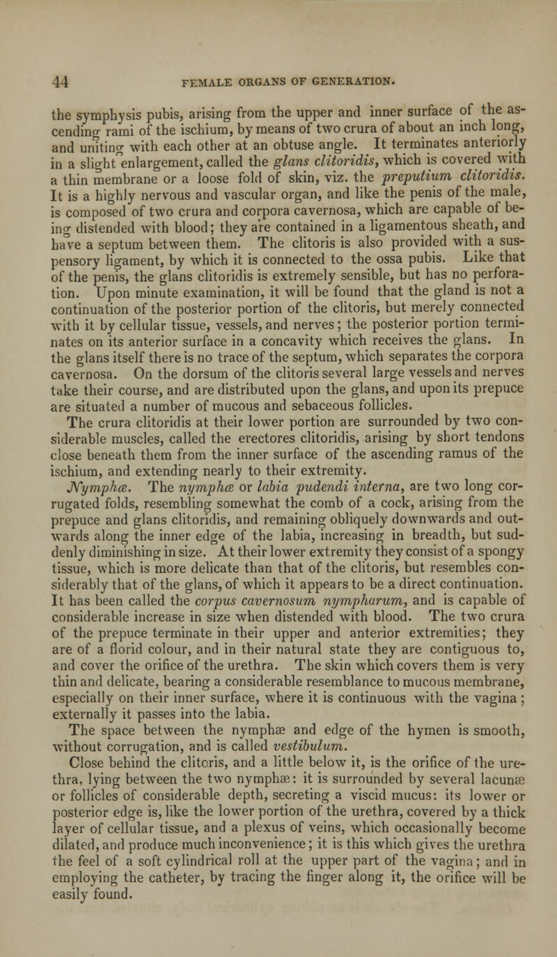 the symphysis pubis, arising from the upper and inner surface of the as- cending rami of the ischium, by means of two crura of about an inch long, and uniting with each other at an obtuse angle. It terminates anteriorly in a slight'enlargement, called the glans ditoridis, which is covered with a thin membrane or a loose fold of skin, viz. the preputium ditoridis. It is a highly nervous and vascular organ, and like the penis of the male, is composed of two crura and corpora cavernosa, which are capable of be- ing distended with blood; they are contained in a ligamentous sheath, and have a septum between them. The clitoris is also provided with a sus- pensory ligament, by which it is connected to the ossa pubis. Like that of the penis, the glans ditoridis is extremely sensible, but has no perfora- tion. Upon minute examination, it will be found that the gland is not a continuation of the posterior portion of the clitoris, but merely connected with it by cellular tissue, vessels, and nerves; the posterior portion termi- nates on its anterior surface in a concavity which receives the glans. In the glans itself there is no trace of the septum, which separates the corpora cavernosa. On the dorsum of the clitoris several large vessels and nerves take their course, and are distributed upon the glans, and upon its prepuce are situated a number of mucous and sebaceous follicles. The crura ditoridis at their lower portion are surrounded by two con- siderable muscles, called the erectores ditoridis, arising by short tendons close beneath them from the inner surface of the ascending ramus of the ischium, and extending nearly to their extremity. JVympha. The nymphce or labia pudendi interna, are two long cor- rugated folds, resembling somewhat the comb of a cock, arising from the prepuce and glans ditoridis, and remaining obliquely downwards and out- wards along the inner edge of the labia, increasing in breadth, but sud- denly diminishing in size. At their lower extremity they consist of a spongy tissue, which is more delicate than that of the chtoris, but resembles con- siderably that of the glans, of which it appears to be a direct continuation. It has been called the corpus cavernosum nympharum, and is capable of considerable increase in size when distended with blood. The two crura of the prepuce terminate in their upper and anterior extremities; they are of a florid colour, and in their natural state they are contiguous to, and cover the orifice of the urethra. The skin which covers them is very thin and delicate, bearing a considerable resemblance to mucous membrane, especially on their inner surface, where it is continuous with the vagina; externally it passes into the labia. The space between the nyraphse and edge of the hymen is smooth, without corrugation, and is called vestibulum. Close behind the clitoris, and a little below it, is the orifice of the ure- thra, lying between the two nymphae: it is surrounded by several lacunae or follicles of considerable depth, secreting a viscid mucus: its lower or posterior edge is, like the lower portion of the urethra, covered by a thick layer of cellular tissue, and a plexus of veins, which occasionally become dilated, and produce much inconvenience; it is this which gives the urethra the feel of a soft cylindrical roll at the upper part of the vagina; and in employing the catheter, by tracing the finger along it, the orifice will be easily found.