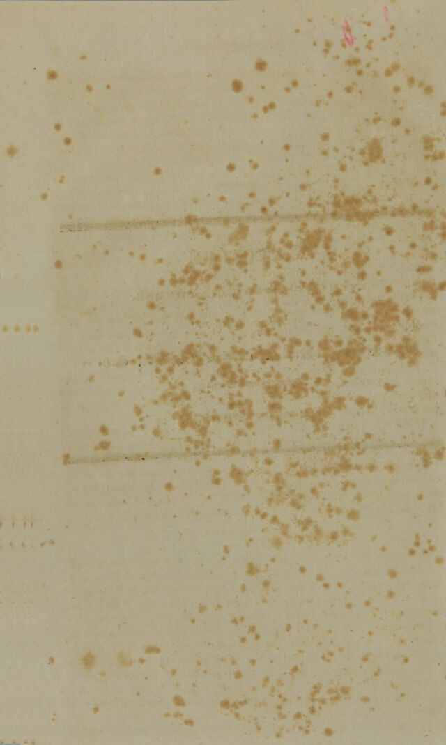 digitised image 2