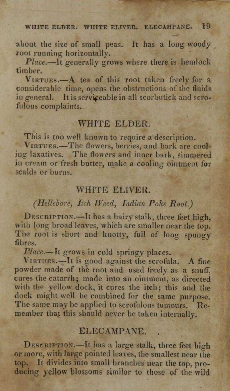 about the size of small peas. It has a long woody root running horizontally. Place.—It generally grows where there is hemlock timber. Virtues.—A tea of this root taken freely for a considerable time, opens the obstructions of the fluids in general. It is serviceable in all scorbutick and scro- fulous complaints. WHITE ELDER. This is too well known to require a description. Virtues.—The flowers, berries, and bark are cool- ing laxatives. The flowers and inner bark, simmered in cream or fresh butter, make a cooling ointment for scalds or bums. WHITE ELIVER. (Hellebore, Itch Weed, Indian Poke Root.) Description.—It has a hairy stalk, three feet high, with long broad leaves, which are smaller near the top. The root is short and knotty, full of long spungy fibres. Place.— It grows in cold springy places. Virtues.—It is good against the scrofula. A fine powder made of the root and used freely as a snuff, cures the catarrh; made into an ointment, as directed with the yellow dock, it cures the itch; this and the dock might well be combined for the same purpose. The same may be applied to scrofulous tumours. Re- member that this should never be taken internally. ELECAMPANE. . Description.—It has a large stalk, three feet high or more, with large pointed leaves, the smallest near the top. It divides into small branches near the top, pro- ducing yellow blossoms similar to those of the wild