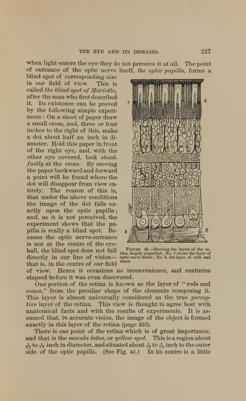 when light enters the eye they do not perceive it at all. The point of entrance of the optic nerve itself, the optic papilla, forms a blind spot of corresponding size in our field of view. This is called the blind spot of Mariotte, after the man who first described it. Its existence can be proved by the following simple experi- ment : On a sheet of paper draw a small cross, and, three or four inches to the right of this, make a dot about half an inch in di- ameter. Hold this paper in front of the right eye, and, with the other eye covered, look stead- fastly at the cross. By moving the paper backward and forward a point will be found where the dot will disappear from view en- tirely. The reason of this is, that under the above conditions the image of the dot falls ex- actly upon the optic papilla; and, as it is not perceived, the experiment shows that the pa- pilla is really a blind spot. Be- cause the optic nerve-entrance is not at the centre of the eye- ball, the blind spot does not fall J[^%£^^^&1£j$ directly in OUr line Of Vision— optic nerve fibres ; No. 9, the layer of rods and that is, in the centre of our field of view. Hence it occasions no inconvenience, and centuries elapsed before it was even discovered. One portion of the retina is known as the layer of  rods and cones, from the peculiar shape of the elements composing it. This layer is almost universally considered as the true percep- tive layer of the retina. This view is thought to agree best with anatomical facts and with the results of experiments. It is as- sumed that, in accurate vision, the image of the object is formed exactly in this layer of the retina (page 236). There is one point of the retina which is of great importance, and that is the macula lutea, or yelloiv spot. This is a region about 2^ to -fr inch in diameter, and situated about ^ to -fc inch to the outer side of the optic papilla. (See Fig. 45.) In its centre is a little