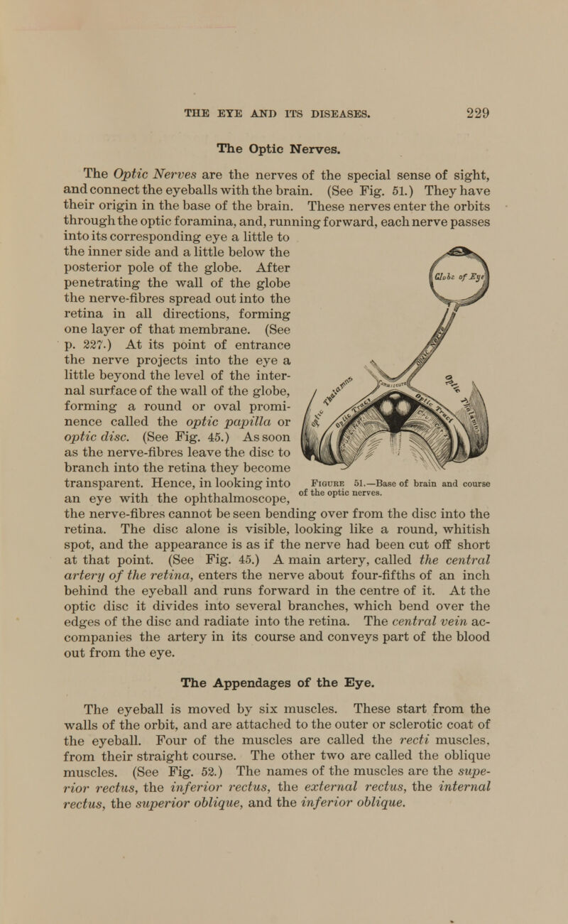 The Optic Nerves. The Optic Nerves are the nerves of the special sense of sight, and connect the eyeballs with the brain. (See Fig. 51.) They have their origin in the base of the brain. These nerves enter the orbits through the optic foramina, and, running forward, each nerve passes into its corresponding eye a little to the inner side and a little below the posterior pole of the globe. After penetrating the wall of the globe the nerve-fibres spread out into the retina in all directions, forming one layer of that membrane. (See p. 227.) At its point of entrance the nerve projects into the eye a little beyond the level of the inter- nal surface of the wall of the globe, forming a round or oval promi- nence called the optic papilla or optic disc. (See Fig. 45.) As soon as the nerve-fibres leave the disc to branch into the retina they become transparent. Hence, in looking into •xi. xi. i ii. i of the optic nerves. an eye with the ophthalmoscope, F the nerve-fibres cannot be seen bending over from the disc into the retina. The disc alone is visible, looking like a round, whitish spot, and the appearance is as if the nerve had been cut off short at that point. (See Fig. 45.) A main artery, called the central artery of the retina, enters the nerve about four-fifths of an inch behind the eyeball and runs forward in the centre of it. At the optic disc it divides into several branches, which bend over the edges of the disc and radiate into the retina. The central vein ac- companies the artery in its course and conveys part of the blood out from the eye. Figure 51.—Base of brain and course The Appendages of the Eye. The eyeball is moved by six muscles. These start from the walls of the orbit, and are attached to the outer or sclerotic coat of the eyeball. Four of the muscles are called the recti muscles, from their straight course. The other two are called the oblique muscles. (See Fig. 52.) The names of the muscles are the supe- rior rectus, the inferior rectus, the external rectus, the internal rectus, the superior oblique, and the inferior oblique.