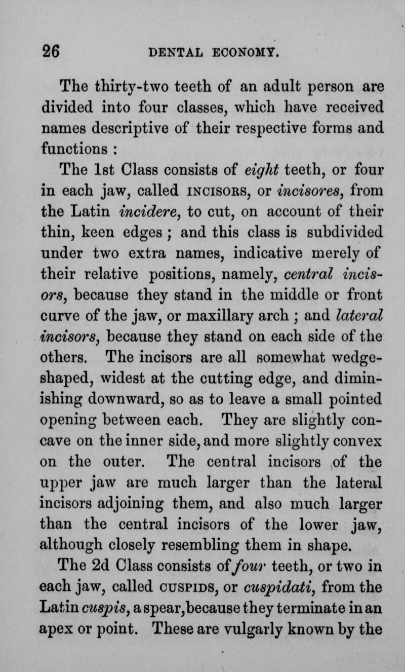 The thirty-two teeth of an adult person are divided into four classes, which have received names descriptive of their respective forms and functions : The 1st Class consists of eight teeth, or four in each jaw, called incisors, or incisores, from the Latin incidere, to cut, on account of their thin, keen edges ; and this class is subdivided under two extra names, indicative merely of their relative positions, namely, central incis- ors, because they stand in the middle or front curve of the jaw, or maxillary arch ; and lateral incisors, because they stand on each side of the others. The incisors are all somewhat wedge- shaped, widest at the cutting edge, and dimin- ishing downward, so as to leave a small pointed opening between each. They are slightly con- cave on the inner side, and more slightly convex on the outer. The central incisors of the upper jaw are much larger than the lateral incisors adjoining them, and also much larger than the central incisors of the lower jaw, although closely resembling them in shape. The 2d Class consists of four teeth, or two in each jaw, called cuspids, or cuspidati, from the Latin cuspis, a spear,because they terminate in an apex or point. These are vulgarly known by the