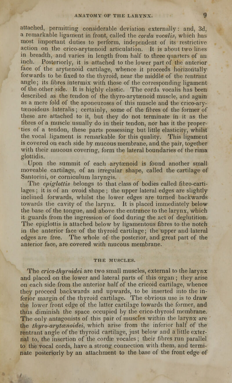 attached, permitting considerable deviation externally: and, 3d, a remarkable ligament in front, called the corda vocalis, which has most important duties to perform, independent of its restrictive action on the crico-arytasnoid articulation. It is about two lines in breadth, and varies in length from half to three quarters of an inch. Posteriorly, it is attached to the lower part of the anterior face of the arytenoid cartilage, whence it proceeds horizontally forwards to be fixed to the thyroid, near the middle of the rentrant angle; its fibres intermix with those of the corresponding ligament of the other side. It is highly elastic. The corda vocalis has been described as the tendon of the thyro-arytsenoid muscle, and again as a mere fold of the aponeuroses of this muscle and the crico-ary- taenoideus lateralis; certainly, some of the fibres of the former of these are attached to it, but they do not terminate in it as the fibres of a muscle usually do in their tendon, nor has it the proper- ties of a tendon, these parts possessing but little elasticity, whilst the vocal ligament is remarkable for this quality. This ligament is covered on each side by mucous membrane, and the pair, together with their mucous covering, form the lateral boundaries of the rima glottidis. Upon the summit of each arytenoid is found another small moveable cartilage, of an irregular shape, called the cartilage of Santorini, or corniculum laryngis. The epiglottis belongs to that class of bodies called fibro-carti- lages ; it is of an ovoid shape ; the upper lateral edges are slightly inclined forwards, whilst the lower edges are turned backwards towards the cavity of the larynx. It is placed immediately below the base of the tongue, and above the entrance to the larynx, which it guards from the ingression of food during the act of deglutition. The epiglottis is attached below by ligamentous fibres to the notch in the anterior face of the thyroid cartilage; the upper and lateral edges are free. The whole of the posterior, and great part of the anterior face, are covered with mucous membrane. THE MUSCLES. The crico-thyroidei are two small muscles, external to the larynx and placed on the lower and lateral parts of this organ ; they arise on each side from the anterior half of the cricoid cartilage, whence they proceed backwards and upwards, to be inserted into the in- ferior margin of the thyroid cartilage. The obvious use is to draw the lower front edge of the latter cartilage towards the former, and thus diminish the space occupied by the crico-thyroid membrane. The only antagonists of this pair of muscles within the larynx are the thyro-aryicenoidei, which arise from the inferior half of the rentrant angle of the thyroid cartilage, just below and a little exter- nal to, the insertion of the cordae vocales; their fibres run parallel to the vocal cords, have a strong connection with them, and termi- nate posteriorly by an attachment to the base of the front edge of