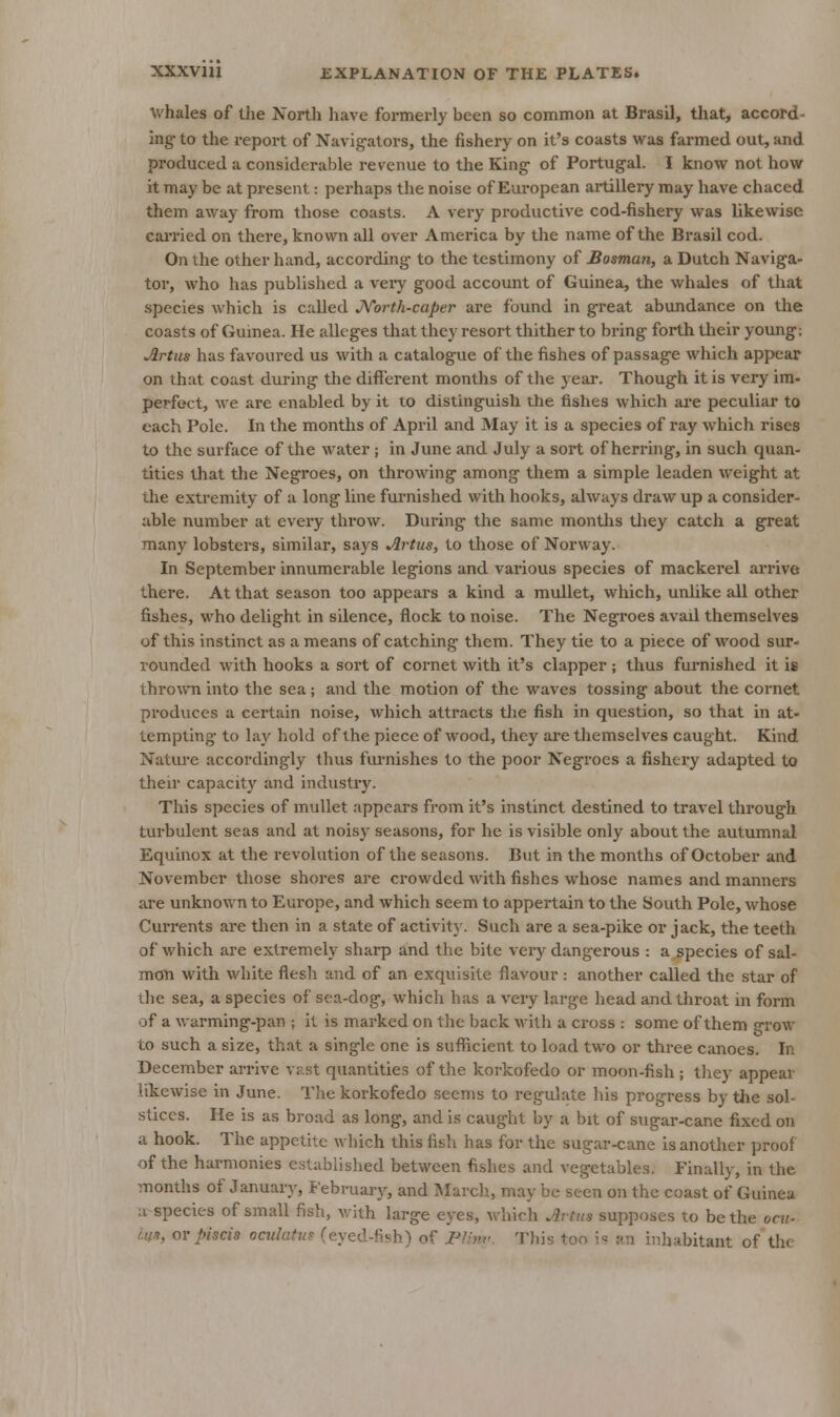 whales of the Xorth have formerly been so common at Brasil, that, accord- ing- to the report of Navig-ators, the fishery on it's coasts was farmed out, and produced a considerable revenue to the King- of Portugal. I know not how it may be at present: pei-haps the noise of Em-opean artillery may have chaced them away from those coasts. A very productive cod-fishery was likewise caiTied on there, known all over America by the name of the Brasil cod. On the other hand, according- to the testimony of Bosman, a Dutch Naviga- tor, who has published a very good account of Guinea, the whales of that species which is called JVorth-caper are found in great abundance on the coasts of Guinea. He alleges that they resort thither to bring forth their young; Artus has favoured us with a catalogue of the fishes of passage which appear on that coast during the different months of tlie year. Though it is very im- perfect, we are enabled by it to distinguish the fishes which are peculiar to each Pole. In the months of April and May it is a species of ray which rises to the surface of the water; in June and July a sort of herring, in such quan- tities that the Negroes, on throwing among them a simple leaden weight at the extremity of a long line furnished with hooks, always draw up a consider- able number at every throw. During the same months they catch a great many lobsters, similar, sa3rs Artus, to those of Norway. In September innumerable legions and various species of mackerel arrive there. At that season too appears a kind a mullet, which, unlike all other fishes, who delight in silence, flock to noise. The Negroes avail themselves of this instinct as a means of catching them. They tie to a piece of wood sur- rounded with hooks a sort of cornet with it's clapper ; thus furnished it is thrown into tlie sea; and the motion of the waves tossing about the cornet produces a certain noise, which attracts the fish in question, so that in at- tempting to lay hold of the piece of wood, they are themselves caught. Kind Natui-e accordingly thus furnishes to the poor Negroes a fisheiy adapted to their capacity and industry. This species of mullet appears from it's instinct destined to travel through turbulent seas and at noisy seasons, for he is visible only about the autumnal Equinox at the revolution of the seasons. But in the months of October and November those shores are crowded with fishes whose names and manners are unknown to Europe, and which seem to appertain to the South Pole, whose Currents are tlien in a state of activity. Such are a sea-pike or jack, the teeth of which are extremely sharp and the bite very dangerous : a species of sal- mon with white flesh and of an exquisite flavour : another called the star of the sea, a species of sea-dog, which has a very large jjead and throat in form of a warming-pan ; it is marked on the back with a cross : some of them ^vovc to such a size, that a single one is suflficient to load two or three canoes. In December arrive vast quantities of tlie korkofedo or moon-fish; they appear likewise in June. The korkofedo seems to regulate his progress by the sol- stices. He is as broad as long, and is caught by a bit of sugar-cane fixed on a hook. The appetite which this fish has for the sugar-cane is another proof of the harmonies established between fishes and vegetables. Finally, in the months of Januaiy, February, and March, may be seen on the coast of Guinea a-species of small fish, with large eyes, which Artus supposes to be the ocii- f-u-t, or piscis ocukitus (eyed-fish) of I-'finv. This too is an inhabitant of the