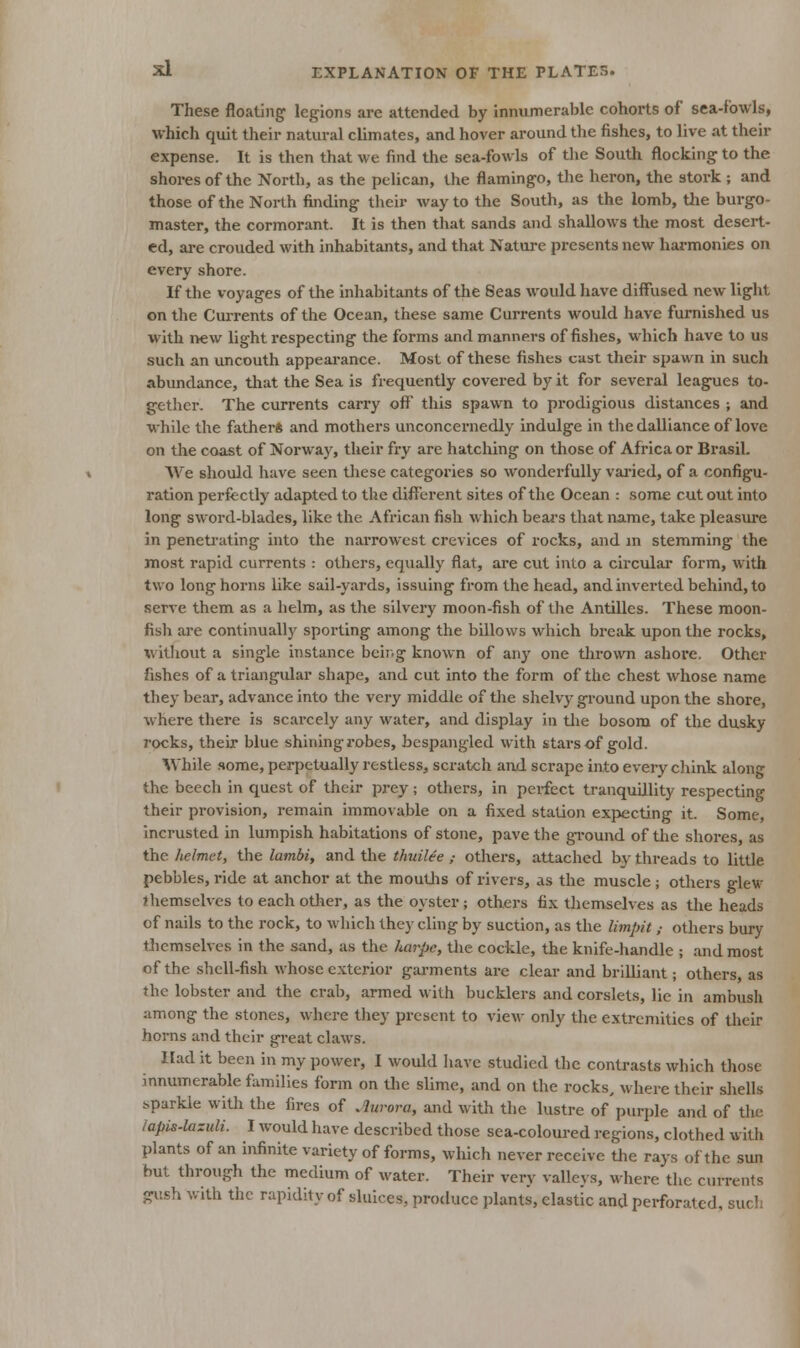 These floating legions are attended by innumerable cohorts of sea-fowls, which quit their natural climates, and hover around the fishes, to live at their expense. It is then that we find the sea-fowls of the South flocking to the shores of the North, as the pelican, the flamingo, the heron, the stork ; and those of the North finding their way to the South, as the lomb, tlie burgo- master, the cormorant. It is then that sands and shallows the most desert- ed, are crouded with inhabitants, and that Nature presents new harmonies on every shore. If the voyages of the inhabitants of the Seas would have diffused new light on the Currents of the Ocean, these same Currents would have furnished us with new light respecting the forms and manners of fishes, which have to us such an uncouth appearance. Most of these fishes cast their spawn in such abundance, that the Sea is frequently covered by it for several leagues to- gether. The currents carry off this spawn to prodigious distances ; and while the fathers and mothers unconcernedly indulge in tlie dalliance of love on the coast of Norway, their fry are hatching on those of Africa or Brasil. We sliould have seen these categories so wonderfully varied, of a configu- ration perfectly adapted to the different sites of the Ocean : some cut out into long sword-blades, like the African fish which bears that name, take pleasure in penetrating into the narrowest crevices of rocks, and in stemming the most rapid currents : others, equally flat, are cut into a circular form, with two long horns like sail-yards, issuing from the head, and inverted behind, to serve them as a helm, as the silvery moon-fish of the Antilles. These moon- fish are continually sporting among the billows which break upon the rocks, without a single instance beii.g known of any one thi-own ashore. Other fishes of a triangidar shape, and cut into the form of the chest whose name they bear, advance into the very middle of the slielvy ground upon the shore, where thei-e is scarcely any water, and display in the bosom of the dusky rocks, their blue shining robes, bespangled with stars of gold. While some, perpetually restless, scratch and scrape into every chink along the beech in quest of their prey; others, in perfect tranquillity respecting their provision, remain immovable on a fixed station expecting it. Some, incrusted in lumpish habitations of stone, pave the gi-ound of the shores, as the helmet, the Iambi, and the thuilee ,- others, attached by threads to little pebbles, ride at anchor at the moutlis of rivers, as the muscle ; others glew themselves to each other, as the oyster; others fix tliemselves as the heads of nails to the rock, to which they cling by suction, as the limpit,- others bury tliemselves in the sand, as the harpe, the cockle, the knife-handle ; and most of the shell-fish whose exterior garments are clear and brilliant; others, as the lobster and the crab, armed with bucklers and corslets, lie in ambush among the stones, where they present to view only the extremities of their horns and their great claws. Had it been in my power, I would have studied the contrasts which those innumerable families form on tlie slime, and on the rocks, where their sliells sparkle with the fires of Aurora, and with the lustre of purple and of the iapis-lazuli. I would have described those sea-coloured regions, clothed with plants of an infinite variety of forms, which never receive Uie rays of the sun but through the medium of water. Their very valleys, where the currents gush with the rapidity of sluices, produce plants, elastic and perforated, such