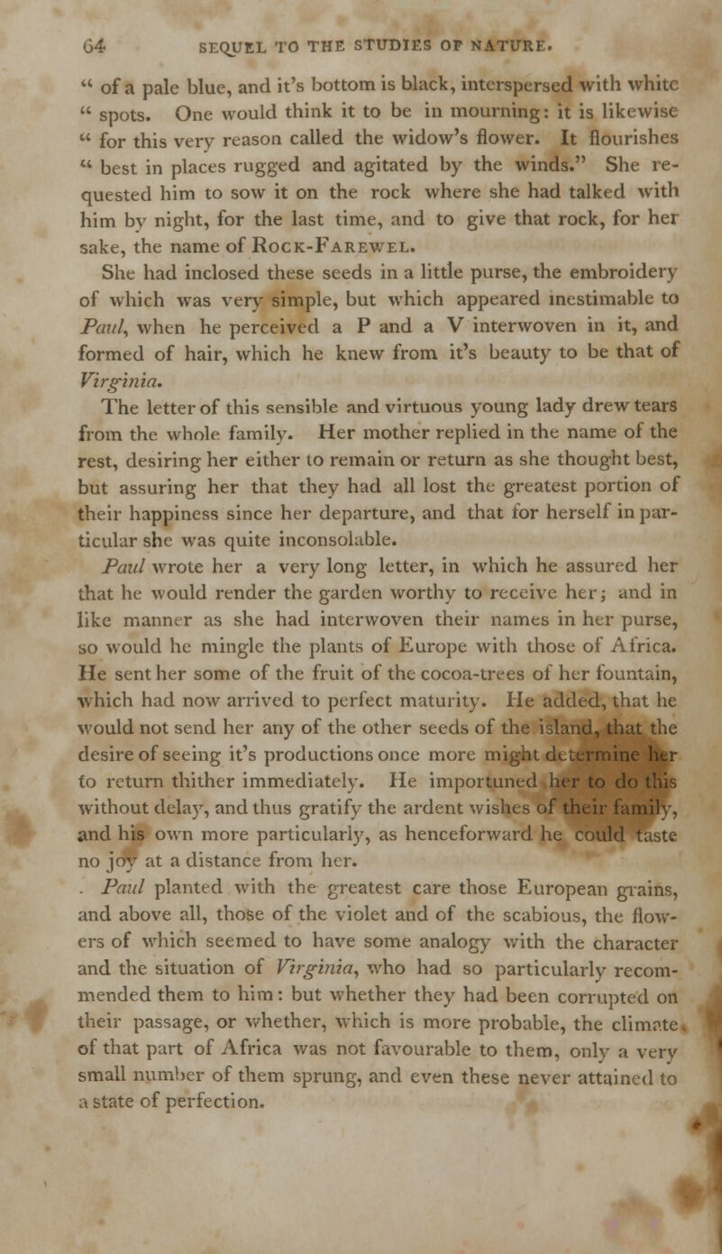  of a pale blue, and it's bottom is black, interspersed with white  spots. One would think it to be in mourning: it is likewise  for this very reason called the widow's flower. It flourishes tt best in places rugged and agitated by the winds. She re- quested him to sow it on the rock where she had talked with him by night, for the last time, and to give that rock, for her sake, the name of Rock-Farewel. She had inclosed these seeds in a little purse, the embroidery of which was very simple, but which appeared inestimable to Paul, when he perceived a P and a V interwoven in it, and formed of hair, which he knew from it's beauty to be that of Virginia. The letter of this sensible and virtuous young lady drew tears from the whole family. Her mother replied in the name of the rest, desiring her either to remain or return as she thought best, but assuring her that they had all lost the greatest portion of their happiness since her departure, and that tor herself in par- ticular she was quite inconsolable. Paul wrote her a very long letter, in which he assured her that he would render the garden worthy to receive her; and in like manner as she had interwoven their names in her purse, so would he mingle the plants of Europe with those of Africa. He sent her some of the fruit of the cocoa-trees of her fountain, which had now arrived to perfect maturity. He added, that he would not send her any of the other seeds of the island, that the desire of seeing it's productions once more might determine her to return thither immediately. He importuned her to do this without delay, and thus gratify the ardent wishes of their family, and his own more particularly, as henceforward he could taste no joy at a distance from her. . Paul planted with the greatest care those European grains, and above all, those of the violet and of the scabious, the flow- ers of which seemed to have some analogy with the character and the situation of Virginia, who had so particularly recom- mended them to him: but whether they had been corrupted on their passage, or whether, which is more probable, the climate«. of that part of Africa was not favourable to them, only a very small number of them sprung, and even these never attained to a state of perfection.