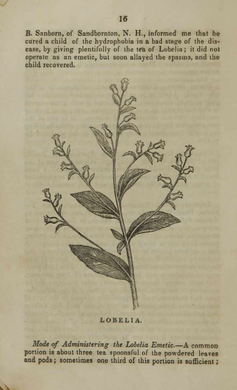 B. Sanborn, of Sandbornton, N. H., informed me that he cured a child of the hydrophobia in a bad stage of the dis- ease, by giving plentifully of the tela of Lobelia; it did not operate as an emetic, but soon allayed the spasms, and the child recovered. LOBELIA. Mode of Administering the Lobelia Emetic.—A common portion is about three tea spoonsful of the powdered leaves and pods; sometimes one third of this portion is sufficient; lV