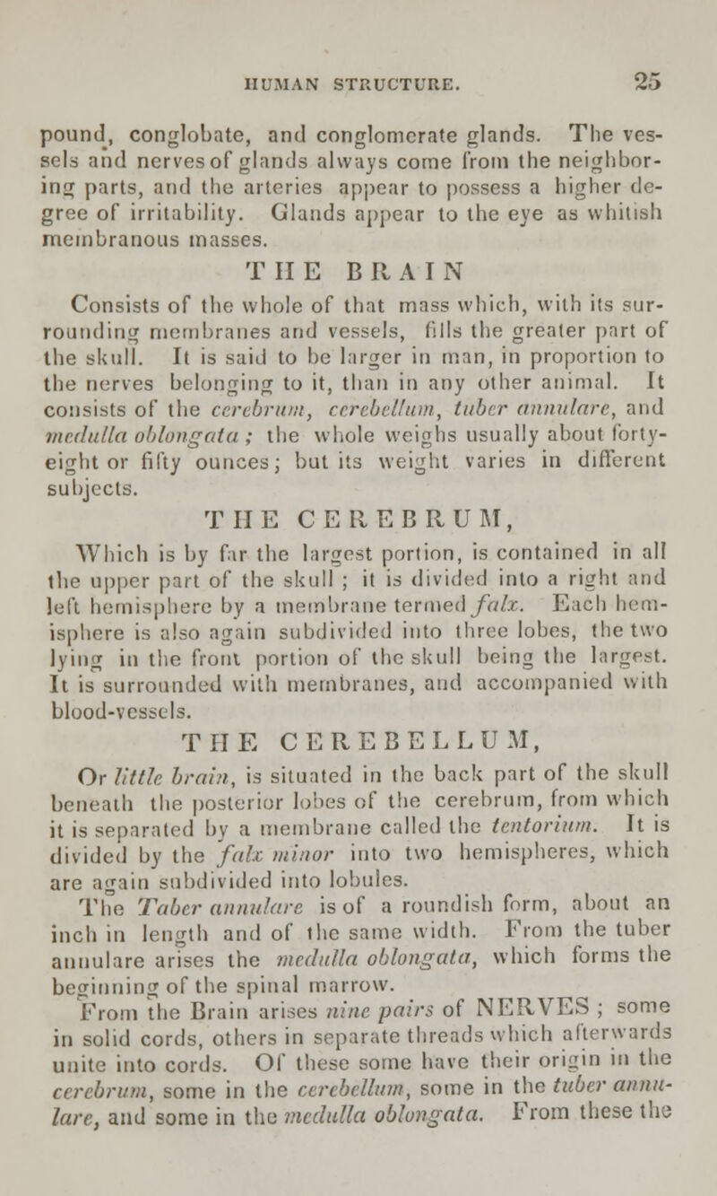 pound, conglobate, and conglomerate glands. The ves- sels and nerves of glands always come from the neighbor- ing parts, and the arteries appear to possess a higher de- gree of irritability. Glands appear to the eye as whitish membranous masses. T II E B It A I N Consists of the whole of that mass which, with its sur- rounding membranes and vessels, fills the greater part of the skull. It is said to be larger in man, in proportion to the nerves belonging to it, than in any other animal. It consists of the cerebrum, cerebellum, tuber annulare, and medulla oblongata ; the whole weighs usually about forty- eight or fifty ounces; but its weight varies in different subjects. THE CEREBRUM, Which is by far the largest portion, is contained in all tbe upper part of the skull ; it is divided into a right and left hemisphere by a membrane termed falx. Each hem- isphere is also again subdivided into three lobes, the two lying in the front portion of the skull being the largest. It is surrounded with membranes, and accompanied with blood-vessels. THE CEREBELLUM, Or little brain, is situated in the back part of the skull beneath the posterior lobes of the cerebrum, from which it is separated by a membrane called the tentorium. It is divided by the falx minor into two hemispheres, which are again subdivided into lobules. The Taber annulare is of a roundish form, about an inch in length and of the same width. From the tuber annulare arises the medulla oblongata, which forms the beginning of the spinal marrow. From the Brain arises nine pairs of NERVES ; some in solid cords, others in separate threads which afterwards unite into cords. Of these some have their origin in the cerebrum, some in the cerebellum, some in the tuber annu- lare, and some in the medulla oblongata. From these the