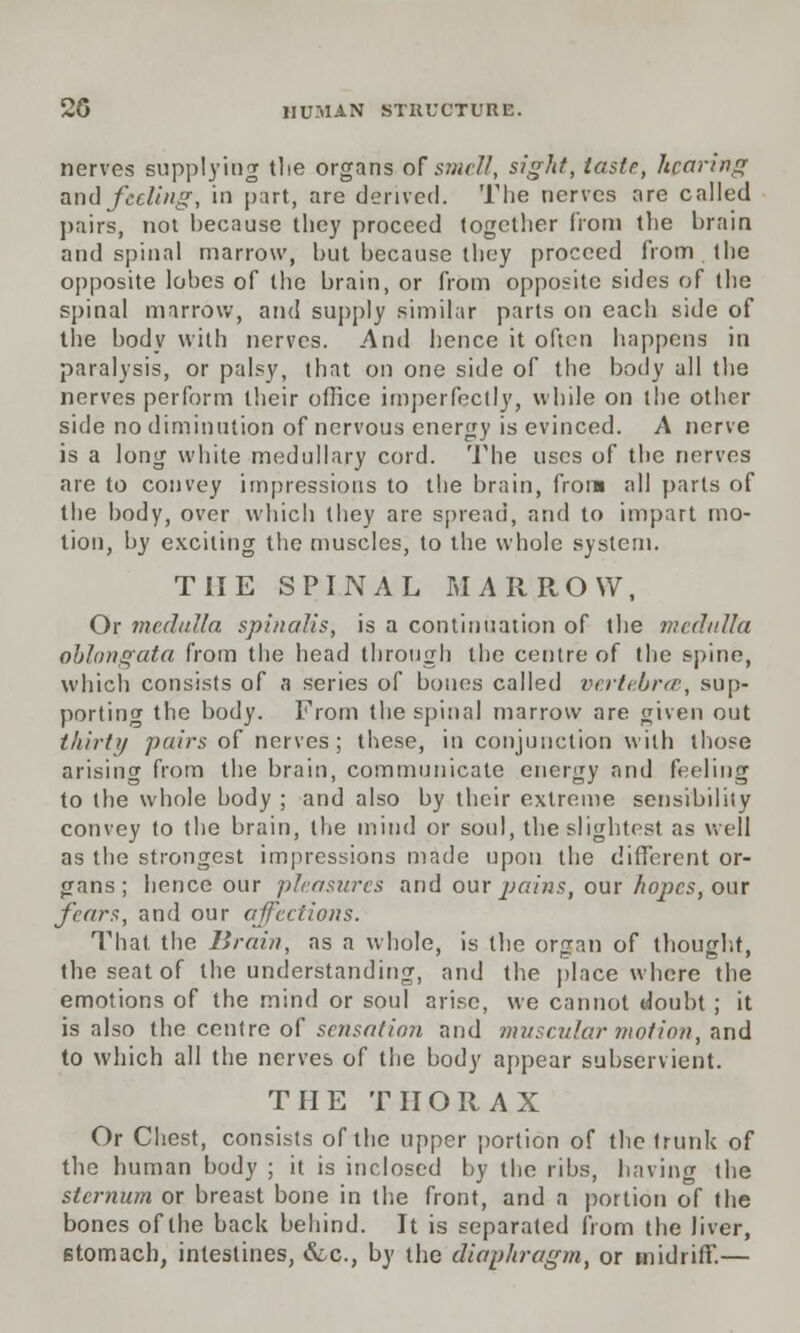 nerves supplying tlie organs of smell, sight, taste, hearing and feeling, in part, are derived. The nerves are called pairs, not because they proceed together from the brain and spinal marrow, but because they proceed from the opposite lobes of the brain, or from opposite sides of the spinal marrow, and supply similar parts on each side of the body with nerves. And hence it often happens in paralysis, or palsy, that on one side of the body all the nerves perform their office imperfectly, while on the other side no diminution of nervous energy is evinced. A nerve is a long white medullary cord. The uses of the nerves are to convey impressions to the brain, from all parts of the body, over which they are spread, and to impart mo- tion, by exciting the muscles, to the whole system. THE SPINAL MARROW, Or medulla spinalis, is a continuation of the medulla oblongata from the head through the centre of the spine, which consists of a series of bones called vertebra', sup- porting the body. From the spinal marrow are given out thirty pairs of nerves; these, in conjunction with those arising from the brain, communicate energy and feeling to the whole body ; and also by their extreme sensibility convey to the brain, the mind or soul, the slightest as well as the strongest impressions made upon the different or- gans ; hence our pleasures and our pains, our hopes, our fears, and our affections. That the Brain, as a whole, is the organ of thought, the seat of the understanding, and the place where the emotions of the mind or soul arise, we cannot doubt ; it is also the centre of sensation and muscular motion, and to which all the nerves of the body appear subservient. THE THORAX Or Chest, consists of the upper portion of the trunk of the human body ; it is inclosed by the ribs, having the sternum or breast bone in the front, and a portion of the bones of the back behind. It is separated from the liver, stomach, intestines, &c, by the diaphragm, or midriff.—