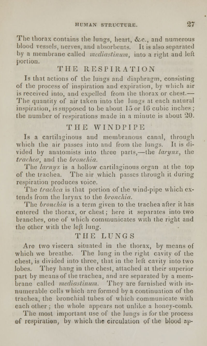 The thorax contains the lungs, heart, &lc, and numerous blood vessels, nerves, and absorbents. It is also separated by a membrane called mediastinum, into a right and left portion. THE RESPIRATION Is that actions of the lungs and diaphragm, consisting of the process of inspiration and expiration, by which air is received into, and expelled from the thorax or chest.— The quantity of air taken into the lungs at each natural inspiration, is supposed to be about 15 or 10 cubic inches; the number of respirations made in a minute is about 20. THE WINDPIPE Is a cartilaginous and membranous canal, through which the air passes into and from the lungs. It is di- vided by anatomists into three parts,—the larynx., the trachea, and the bronchia. The larnyx is a hollow cartilaginous organ at the top of the trachea. The air which passes through it during respiration produces voice. The trachea is that portion of the wind-pipe which ex- tends from the larynx to the bronchia. The bronchia is a term given to the trachea after it has entered the thorax, or chest; here it separates into two branches, one of which communicates with the right and the other with the left lung. THE LUNGS Are two viscera situated in the thorax, by means of which we breathe. The lung in the right cavity of the chest, is divided into three, that in the left cavity into two lobes. They hang in the chest, attached at their superior part by means of the trachea, and are separated by a mem- brane called mediastinum. They are furnished witli in- numerable cells which are formed by a continuation of the trachea, the bronchial tubes of which communicate with cacli other ; the whole appears not unlike a honey-comb. The most important use of the lungs is for the process of respiration, by which the circulation of the blood ap-