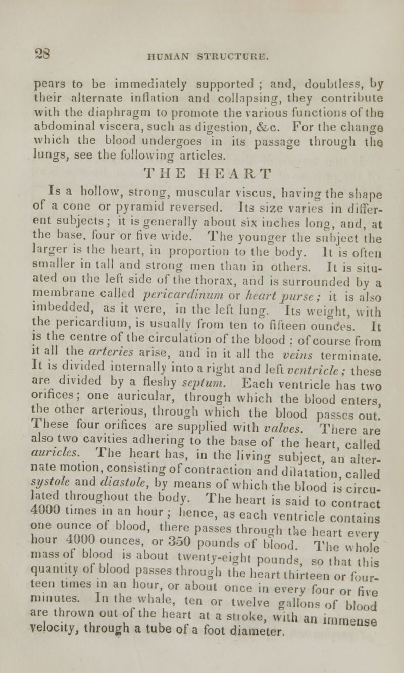 pears to be immediately supported ; and, doubtless, by their alternate inflation and collapsing, they contribute with the diaphragm to promote the various functions of the abdominal viscera, such as digestion, &c. For the change which the blood undergoes in its passage through the lungs, see the following articles. THE HEART Is a hollow, strong, muscular viscus, having the shape of a coue or pyramid reversed. Its size varies in differ- ent subjects; it is generally about six inches long, and, at the base, four or five wide. The younger the subject the larger is the heart, in proportion to the body. It is often smaller in tall and strong men than in others. It is situ- ated ou the left side of the thorax, and is surrounded by a membrane called pericardinum or heart purse; it is also imbedded, as it were, in the left lung. Its weight, with the pericardium, is usually from ten to fifteen oundes. It is the centre of the circulation of the blood : of course from it all the arteries arise, and in it all the veins terminate. It is divided internally into a right and left ventricle; these are divided by a fleshy septum. Each ventricle has two orifices; one auricular, through which the blood enters the other artenous, through which the blood passes out' These four orifices are supplied with valves. There are also two cavities adhering to the base of the heart called aunclcs. The heart has, in the living subject an alter- nate motion, consisting of contraction and dilatation called systole and diastole, by means of which the blood is circu- lated throughout the body. The heart is said to contract 4000 times man hour; hence, as each ventricle contains one ounce of blood, there passes through the heart every hour 4000 ounces, or 3o0 pounds of blood. The whole mass of blood ,s about twenty-eight pounds, so that this quantity of blood passes through the heart thirteen or four- teen tunes in an hour, or about once in every four or five minutes. In the whale, ten or twelve gallons of blood are thrown out of the heart at a stroke, with an immense velocity, through a tube of a foot diameter,