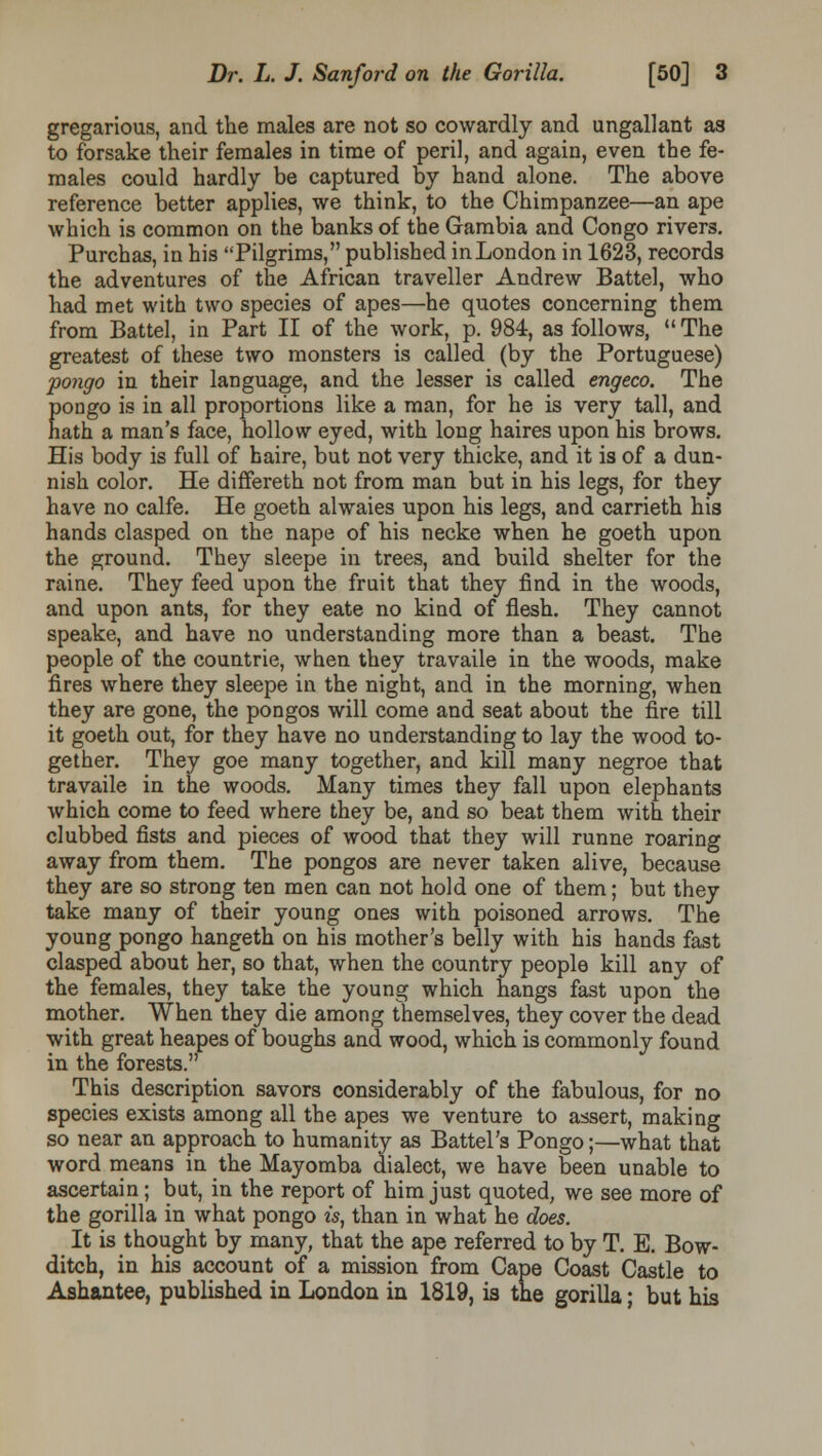 gregarious, and the males are not so cowardly and ungallant as to forsake their females in time of peril, and again, even the fe- males could hardly be captured by hand alone. The above reference better applies, we think, to the Chimpanzee—an ape which is common on the banks of the Gambia and Congo rivers. Purchas, in his Pilgrims, published in London in 1623, records the adventures of the African traveller Andrew Battel, who had met with two species of apes—he quotes concerning them from Battel, in Part II of the work, p. 984, as follows, uThe greatest of these two monsters is called (by the Portuguese) pongo in their language, and the lesser is called engeco. The pongo is in all proportions like a man, for he is very tall, and hath a man's face, hollow eyed, with long haires upon his brows. His body is full of haire, but not very thicke, and it is of a dun- nish color. He differeth not from man but in his legs, for they have no calfe. He goeth alwaies upon his legs, and carrieth his hands clasped on the nape of his necke when he goeth upon the ground. They sleepe in trees, and build shelter for the raine. They feed upon the fruit that they find in the woods, and upon ants, for they eate no kind of flesh. They cannot speake, and have no understanding more than a beast. The people of the countrie, when they travaile in the woods, make fires where they sleepe in the night, and in the morning, when they are gone, the pongos will come and seat about the fire till it goeth out, for they have no understanding to lay the wood to- gether. They goe many together, and kill many negroe that travaile in the woods. Many times they fall upon elephants which come to feed where they be, and so beat them with their clubbed fists and pieces of wood that they will runne roaring away from them. The pongos are never taken alive, because they are so strong ten men can not hold one of them; but they take many of their young ones with poisoned arrows. The young pongo hangeth on his mother's belly with his hands fast clasped about her, so that, when the country people kill any of the females, they take the young which hangs fast upon the mother. When they die among themselves, they cover the dead with great heapes of boughs and wood, which is commonly found in the forests. This description savors considerably of the fabulous, for no species exists among all the apes we venture to assert, making so near an approach to humanity as Battel's Pongo;—what that word means in the Mayomba dialect, we have been unable to ascertain; but, in the report of him just quoted, we see more of the gorilla in what pongo w, than in what he does. It is thought by many, that the ape referred to by T. E. Bow- ditch, in his account of a mission from Cape Coast Castle to Ashantee, published in London in 1819, is the gorilla; but his