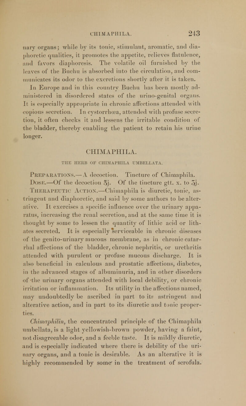 nary organs; while by its tonic, stimulant, aromatic, and dia- phoretic qualities, it promotes the appetite, relieves flatulence, and favors diaphoresis. The volatile oil furnished by the leaves of the Bnchu is absorbed into the circulation, and com- municates its odor to the excretions shortly after it is taken. In Europe and in this country Buchu has been mostly ad- ministered in disordered states of the urino-genital organs. It is especially appropriate in chronic affections attended with copious secretion. In eystorrhoea, attended with profuse secre- tion, it often checks it and lessens the irritable condition of the bladder, thereby enabling the patient to retain his urine longer. CHIMAPHILA. THE HERB OF CHIMAPHILA UMBELLATA. Preparations.— A. decoction. Tincture of Chimaphila. Dusk.—Of the decoction 5j- Of the tincture gtt. x. to oj- Therapeutic Action.—Chimaphila is diuretic, tonic, as- tringent and diaphoretic, and said by some authors to be alter- ative. It exercises a specific influence over the urinary appa- ratus, increasing the renal secretion, and at the same time it is thought by some to lessen the quantity of lithic acid or lith- ates secreted. It is especially serviceable in chronic diseases of the genito-urinary mucous membrane, as in chronic catar- rhal affections of the bladder, chronic nephritis, or urethritis attended with purulent or profuse mucous discharge. It is also beneficial in calculous and prostatic affections, diabetes, in the advanced stages of albuminuria, and in other disorders of-the urinary organs attended with local debility, or chronic irritation or inflammation. Its utility in the affections named, may undoubtedly be ascribed in part to its astringent and alterative action, and in part to its diuretic and tonic proper- ties. Chimaphilin, the concentrated principle of the Chimaphila umbellata, is a light yellowish-brown powder, having a faint,, not disagreeable odor, and a feeble taste. It is mildly diuretic, and is especially indicated where there is debility of the uri- nary organs, and a tonic is desirable. As an alterative it is highly recommended by some in the treatment of scrofula.