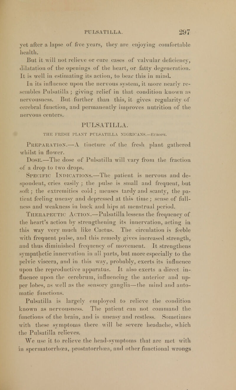 yet after a lapse of five years, they are enjoying comfortable health, But it will not relieve or cure eases of valvular deficiency, dilatation of the openings of the heart, or fatty degeneration. It is well in estimating its action, to bear this in mind. In its influence upon the nervous system, it more nearly re- sembles Pulsatilla ; giving relief in that condition known as nervousness. But further than this, it gives regularity of cerebral function, and permanently improves nutrition of the nervous centers. PULSATILLA. THE FRESH PLANT PULSATILLA NIGRICANS.—EUROPE. Preparation.—A tincture of the fresh plant gathered whilst in flower. Dose.— The dose of Pulsatilla will vary from the fraction of a drop to two drops. Specific Indications.—The patient is nervous and de- spondent, cries easily • the pulse is small and frequent, but soft ; the extremities cold ; menses tardy and scanty, the pa- tient feeling uneasy and depressed at this time; sense of full- ness and weakness in back and hips at menstrual period. Therapeutic Action.—Pulsatilla lessens the frequency of the heart's action by strengthening its innervation, acting in this way very much like Cactus. The circulation is feeble with frequent pulse, and this remedy gives increased strength, and thus diminished frequency of movement. It strengthens sympathetic innervation in all parts, but more especially to the pelvic viscera, and in this way, probably, exerts its influence upon the reproductive apparatus. It also exerts a direct in- fluence upon the cerebrum, influencing the anterior and up- per lobes, as well as the sensory ganglia—the mind and auto- matic functions. Pulsatilla is largely employed to relieve the condition known as nervousness. The patient can not command the functions of the brain, and is uneasy and restless. Sometimes with these symptoms there will be severe headache, which the Pulsatilla relieves. We use it to relieve the head-symptoms that are met with in spermatorrhoea, prostatorrhoea, and other functional wrongs