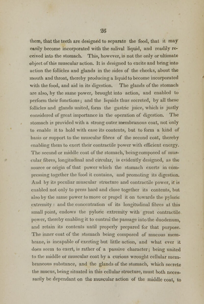them, that the teeth are designed to separate the food, that it may easily become incorporated with the salival liquid, and readily re- ceived into the stomach. This, however, is not the only or ultimate object of this muscular action. It is designed to excite and bring into action the follicles and glands in the sides of the cheeks, about the mouth and throat, thereby producing a liquid to become incorporated with the food, and aid in its digestion. The glands of the stomach are also, by the same power, brought into action, and enabled to perform their functions; and the liquids thus secreted, by all these follicles and glands united, form the gastric juice, which is justly considered of great importance in the operation of digestion. The stomach is provided with a strong outer membranous coat, not only to enable it to hold with ease its contents, but to form a kind of basis or support to the muscular fibres of the second coat, thereby enabling them to exert their contractile power with efficient energy. The second or middle coat of the stomach, being composed of mus- cular fibres, longitudinal and circular, is evidently designed, as the source or origin of that power which the stomach exerts in com- pressing together the food it contains, and promoting its digestion. And by its peculiar muscular structure and contractile power, it is enabled not only to press hard and close together its contents, but also by the same power to move or propel it on towards the pyloric extremity : and the concentration of its longitudinal fibres at this small point, endows the pyloric extremity with great contractile power, thereby enabling it to control the passage into the duodenum, and retain its contents until properly prepared for that purpose. The inner coat of the stomach being composed of mucous mem- brane, is incapable of exerting but little action, and what ever it does seem to exert, is rather of a passive character; being united to the middle or muscular coat by a curious wrought cellular mem- braneous substance, and the glands of the stomach, which secrete the mucus, being situated in this cellular structure, must both neces- sarily be dependant on the muscular action of the middle coat, to