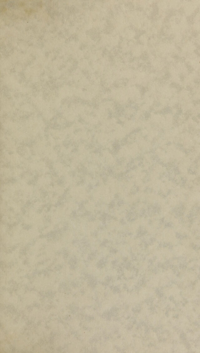digitised image 3