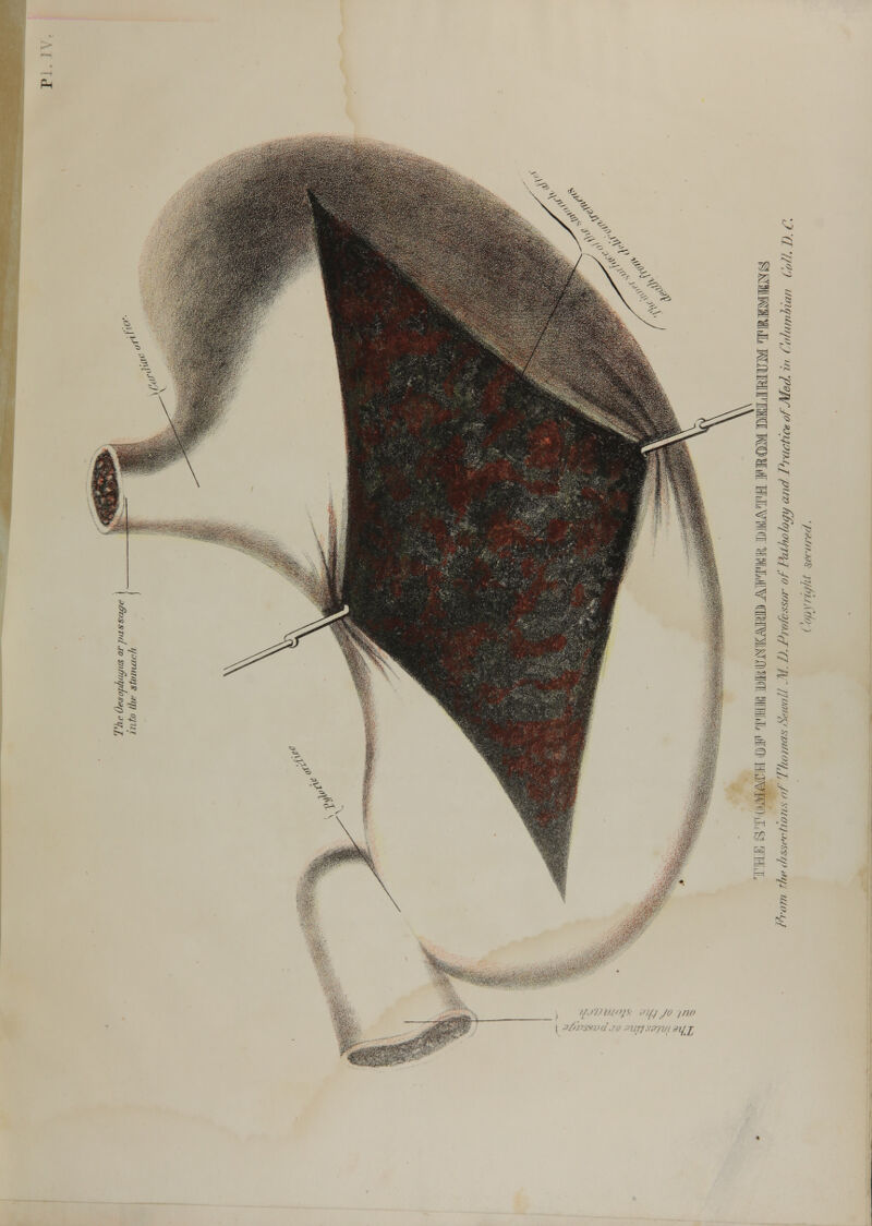 Ph //.i/lU.if'S.- ■//(_/ JO f/V> \ ?£>h$xvdjo ;>up-Witt difjj