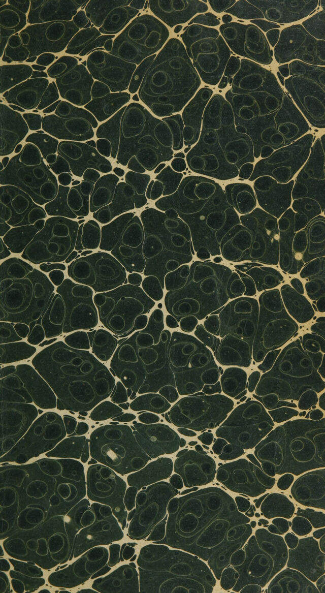 digitised image 3