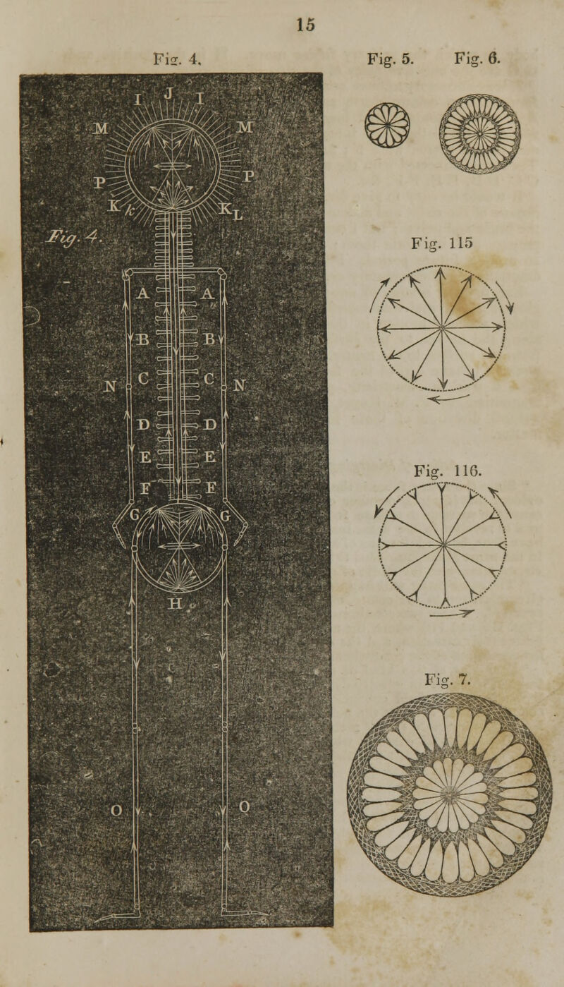 Fia. 4. Fig. 5. Fig. 6.