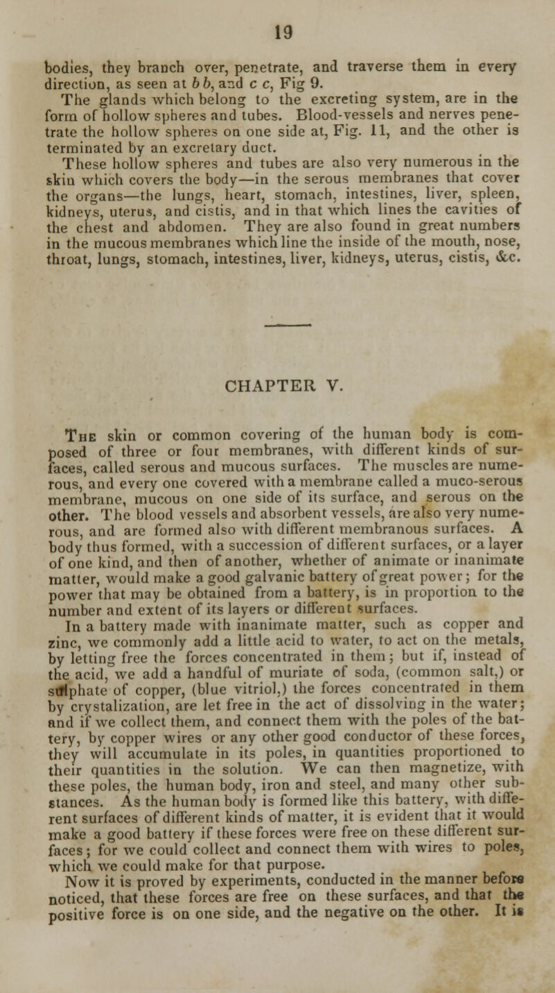 bodies, they branch over, penetrate, and traverse them in every direction, as seen at bb, and c c, Fig 9. The glands which belong to the excreting system, are in the form of hollow spheres and tubes. Blood-vessels and nerves pene- trate the hollow spheres on one side at, Fig. 11, and the other is terminated by an excrelary duct. These hollow spheres and tubes are also very numerous in the skin which covers the body—in the serous membranes that cover the organs—the lungs, heart, stomach, intestines, liver, spleen, kidneys, uterus, and cistis, and in that which lines the cavities of the chest and abdomen. They are also found in great numbers in the mucous membranes which line the inside of the mouth, nose, throat, lungs, stomach, intestines, liver, kidneys, uterus, cistis, &c. CHAPTER V. The skin or common covering of the human body is com- posed of three or four membranes, with different kinds of sur- faces, called serous and mucous surfaces. The muscles are nume- rous and every one covered with a membrane called a muco-serous membrane, mucous on one side of its surface, and serous on the other. The blood vessels and absorbent vessels, are also very nume- rous, and are formed also with different membranous surfaces. A body thus formed, with a succession of different surfaces, or a layer of one kind, and then of another, whether of animate or inanimate matter, would make a good galvanic battery of great power; for the power that may be obtained from a battery, is in proportion to the number and extent of its layers or different surfaces. In a battery made with inanimate matter, such as copper and zinc, we commonly add a little acid to water, to act on the metals, by letting free the forces concentrated in them; but if, instead of the acid, we add a handful of muriate of soda, (common salt,) or srkphate of copper, (blue vitriol,) the forces concentrated in them by crystalization, are let free in the act of dissolving in the water; and if we collect them, and connect them with the poles of the bat- tery, by copper wires or any other good conductor of these forces, they will accumulate in its poles, in quantities proportioned to their quantities in the solution. We can then magnetize, with these poles, the human body, iron and steel, and many other sub- stances. As the human body is formed like this battery, with diffe- rent surfaces of different kinds of matter, it is evident that it would make a good battery if these forces were free on these different sur- faces ; for we could collect and connect them with wires to poles, which we could make for that purpose. Now it is proved by experiments, conducted in the manner before noticed, that these forces are free on these surfaces, and that the positive force is on one side, and the negative on the other. It is