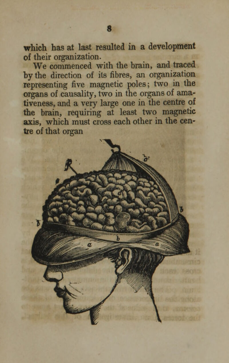 which has at last resulted in a development of their organization. We commenced with the brain, and traced by the direction of its fibres, an organization representing five magnetic poles; two in the organs of causality, two in the organs of ama- tiveness, and a very large one in the centre of the brain, requiring at least two magnetic axis, which must cross each other in the cen- tre of that organ