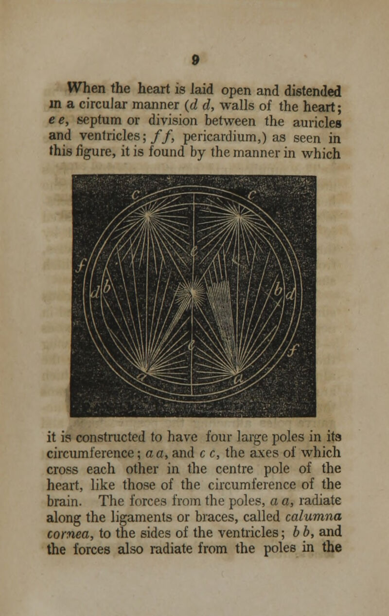 When the heart is laid open and distended in a circular manner {d d, walls of the heart; e e, septum or division between the auricles and ventricles;//, pericardium,) as seen in this figure, it is found by the manner in which it is constructed to have four large poles in its circumference; a a, and c c, the axes of which cross each other in the centre pole of the heart, like those of the circumference of the brain. The forces from the poles, a a, radiate along the ligaments or braces, called calumna cornea, to the sides of the ventricles; b b, and the forces also radiate from the poles in the