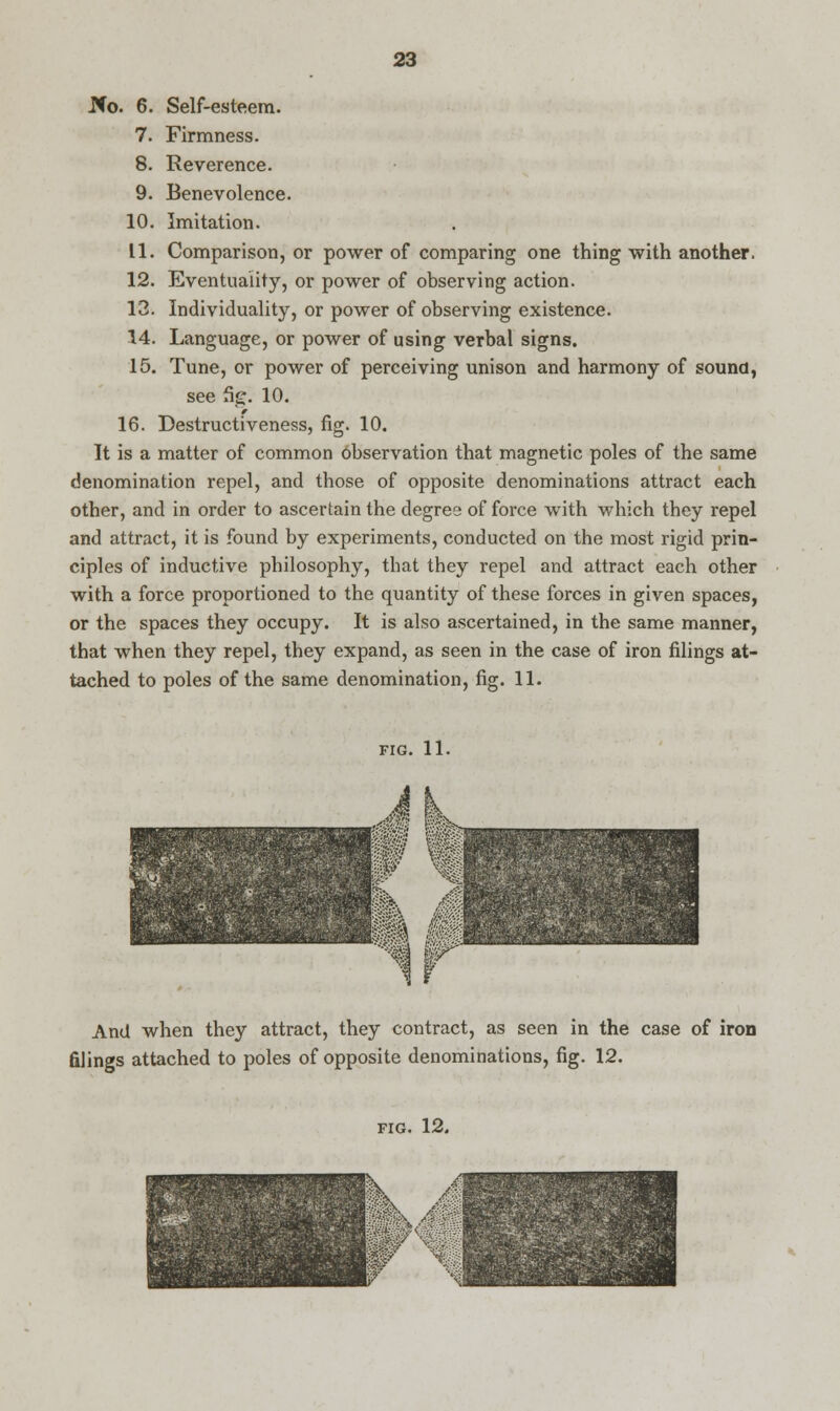 .Pfo. 6. Self-esteem. 7. Firmness. 8. Reverence. 9. Benevolence. 10. Imitation. 11. Comparison, or power of comparing one thing with another. 12. Eventuality, or power of observing action. 13. Individuality, or power of observing existence. 14. Language, or power of using verbal signs. 15. Tune, or power of perceiving unison and harmony of sound, see fig. 10. 16. Destructiveness, fig. 10. It is a matter of common observation that magnetic poles of the same denomination repel, and those of opposite denominations attract each other, and in order to ascertain the degree of force with which they repel and attract, it is found by experiments, conducted on the most rigid prin- ciples of inductive philosophy, tbat they repel and attract each other with a force proportioned to the quantity of these forces in given spaces, or the spaces they occupy. It is also ascertained, in the same manner, that when they repel, they expand, as seen in the case of iron filings at- tached to poles of the same denomination, fig. 11. fig. 11. And when they attract, they contract, as seen in the case of iron filings attached to poles of opposite denominations, fig. 12. fig. 12.