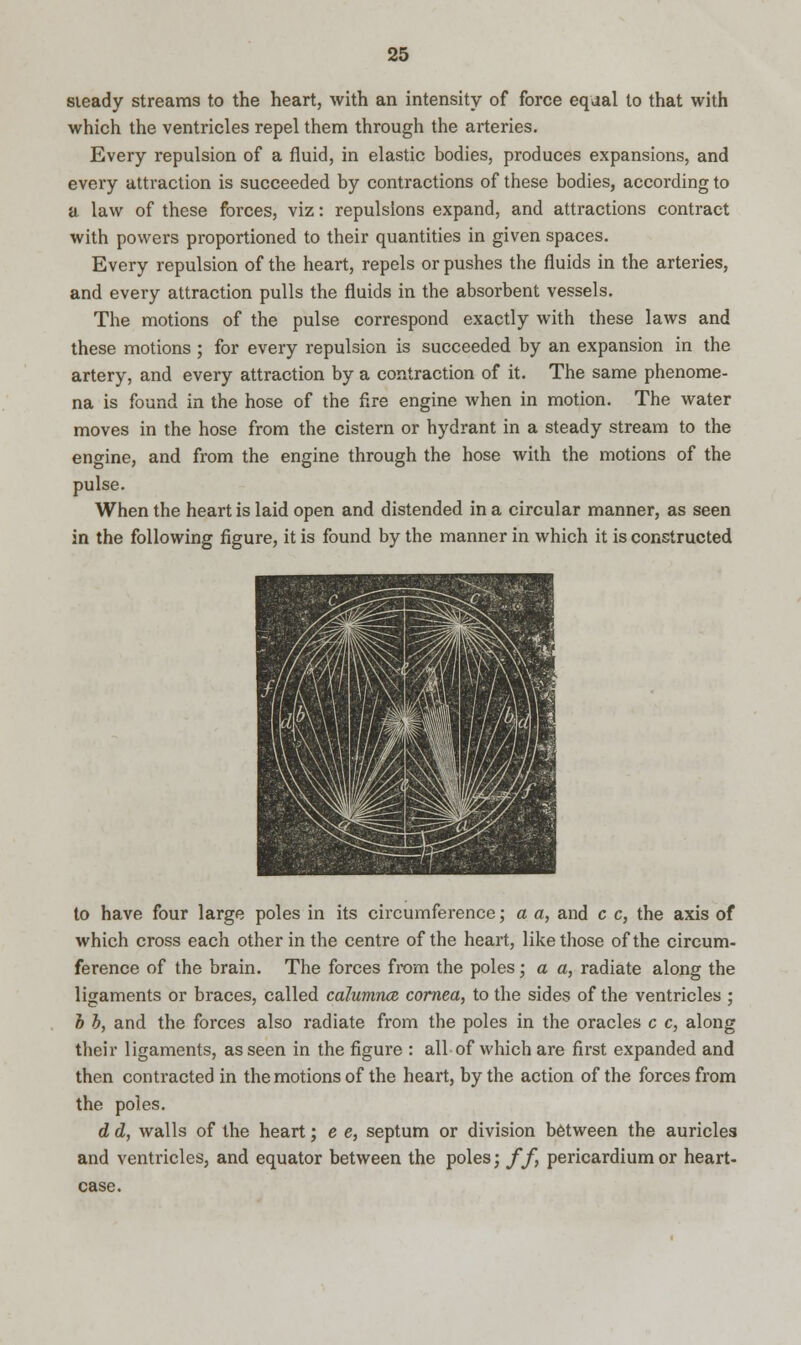 steady streams to the heart, with an intensity of force eqaal to that with which the ventricles repel them through the arteries. Every repulsion of a fluid, in elastic bodies, produces expansions, and every attraction is succeeded by contractions of these bodies, according to a law of these forces, viz: repulsions expand, and attractions contract with powers proportioned to their quantities in given spaces. Every repulsion of the heart, repels or pushes the fluids in the arteries, and every attraction pulls the fluids in the absorbent vessels. The motions of the pulse correspond exactly with these laws and these motions ; for every repulsion is succeeded by an expansion in the artery, and every attraction by a contraction of it. The same phenome- na is found in the hose of the Are engine when in motion. The water moves in the hose from the cistern or hydrant in a steady stream to the engine, and from the engine through the hose with the motions of the pulse. When the heart is laid open and distended in a circular manner, as seen in the following figure, it is found by the manner in which it is constructed to have four large poles in its circumference; a a, and c c, the axis of which cross each other in the centre of the heart, like those of the circum- ference of the brain. The forces from the poles; a a, radiate along the ligaments or braces, called calumnce cornea, to the sides of the ventricles ; b b, and the forces also radiate from the poles in the oracles c c, along their ligaments, as seen in the figure : all of which are first expanded and then contracted in the motions of the heart, by the action of the forces from the poles. d d, walls of the heart; e e, septum or division between the auricles and ventricles, and equator between the poles; ff, pericardium or heart- case.