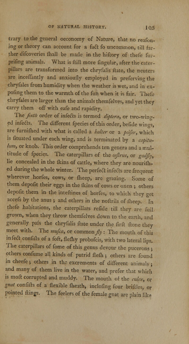 1Q3 trary to the general oeconomy of Nature, that no reafon- ing or theory can account for a fa& fo uncommon, till far- ther difcoveries fhall be made in the hiftory of thefe fuv- prifing animals. What is ftill more fingular, after the cater- pillars are transformed into the chryfalis ftate, the neuters are inceflantly and anxioufly employed in preferring the chryfales from humidity when the weather is wet, and in ex- pofing them to the warmth of the fun when it is fair. Thefe chryfales are larger than the animals themfelves, and yet they carry them off with eafe and rapidity. The fixtb order of infecls is termed diptera, or two-wing- ed infecls. The different fpecies of this order, befide wings, are furnifhed with what is called a halter or a poifer, which is fituated under each wing, and is terminated by a capitu- turn, or knob. This order comprehends ten genera and a mul- titude of fpecies. The caterpillars of the oejlrus, or gadfy, lie concealed in the fkins of cattle, where they are nourifh- ed during the whole winter. The perfeel infecls are frequent wherever horfes, cows, or fheep, are grazing. Some of them depofit their eggs in the fkins of cows or oxen ; others depofit them in the inteftines of horfes, to which' they get accefs by the anus ; and others in the noftrils of fheep. In thefe habitations, the caterpillars refide till they are full grown, when they throw themfelves down to the earth, and generally pafs the chryfalis ftate under the firft ftone they meet with. The mujca, or common fly : The mouth of this in feci confifts of a foft, flefhy probofcis, with two lateral lips. The caterpillars of fome of this genus devour the pucerons ; others confume all kinds of putrid flefh ; others are found in cheefe ; others in the excrements of different animals ; and many of them live in the water, and prefer that which is moft corrupted and muddy. The mouth of the culex, or gnat confifts of a flexible fheath, inclofing four briftles, or pointed flings. The feelers of the female gnat are plain like