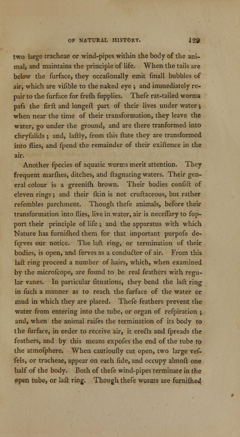 two large tracheae or wind-pipes within the body of the ani- mal, and maintains the principle of life. When the tails are below the furface, they occalionally emit fmall bubbles of air, which are vifible to the naked eye j and immediately re- pair to the furface for frefh fupplies. Thefe rat-tailed worms pafs the firft and longeft part of their lives under water; when near the time of their transformation, they leave the water, go under the ground, and are there tranformed into chryfalids ; and, laftly, from this ftate they are transformed into flies, and fpend the remainder of their exiftence in the air. Another fpecies of aquatic worms merit attention. They frequent marflies, ditches, and ftagnating waters. Their gen- eral colour is a greenifli brown. Their bodies confift of eleven rings; and their flcin is not cruftaceous, but rather refembles parchment. Though thefe animals, before their transformation into flies, live in water, air is neceflary to fup- port their principle of life \ and the apparatus with which Nature has furnifhed them for that important purpofe de- fervcs our notice. The laft ring, or termination of their bodies, is open, and ferves as a conductor of air. From this laft ring proceed a number of hairs, which, when examined by the microfcope, are found to be real feathers with regu- lar vanes. In particular fituations, they bend the laft ring in fuch a manner as to reach the furface of the water or mud in which they are placed. Thefe feathers prevent the water from entering into the tube, or organ of refpiration ; and, when the animal raifes the termination of its body to the furface, in order to receive air, it erects and fpreads the feathers, and by this means expofes the end of the tube to the atmofphere. When cautioufly cut open, two large vef- fels, or tracheae, appear on each fide, and occupy almoft one half of the body. Both of thefe wind-pipes terminate in the open tube, or laft ring. Though thefe worms are furnifhed