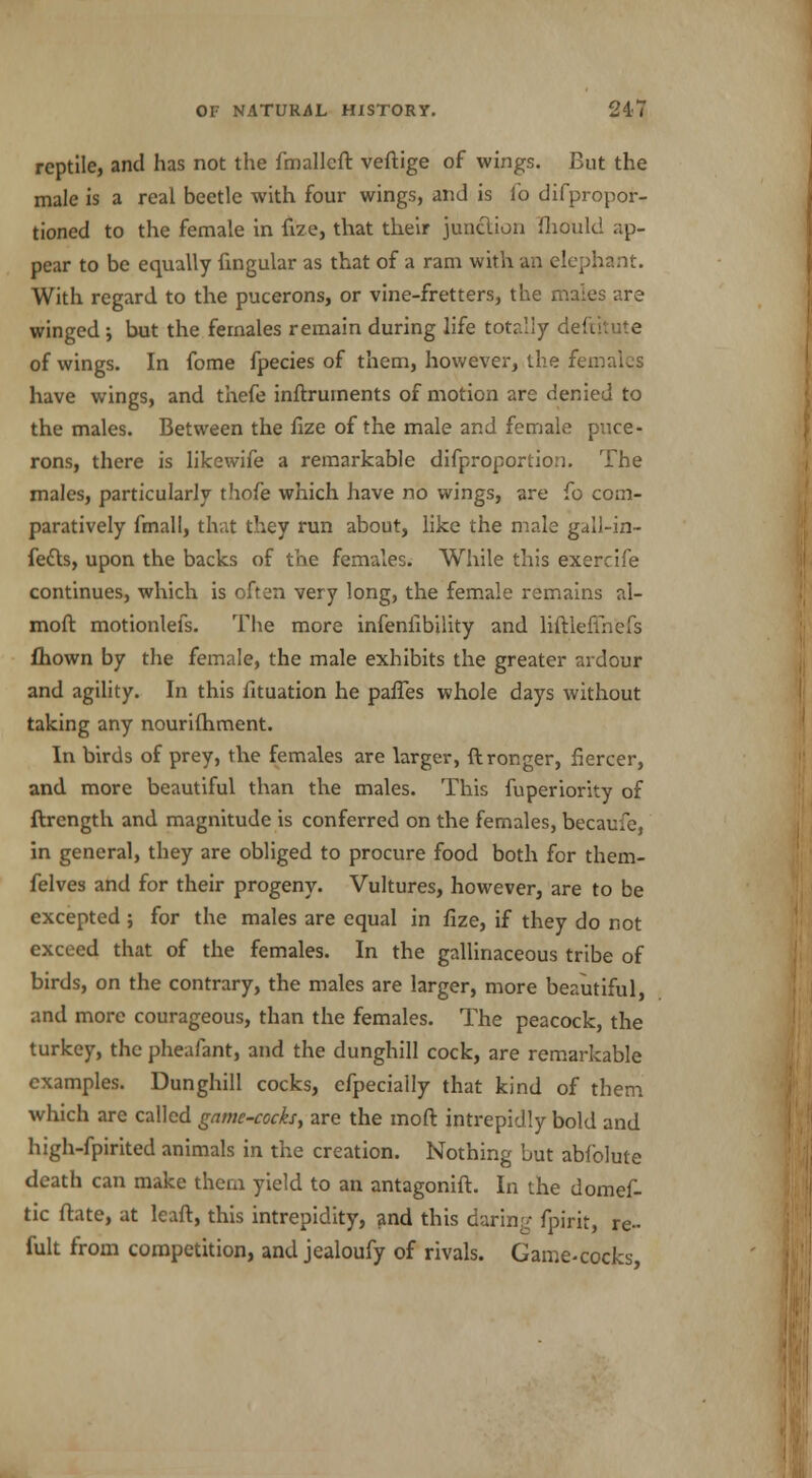 reptile, and has not the fmalleft veftige of wings. But the male is a real beetle with four wings, and is fo difpropor- tioned to the female in fize, that their junction fhould ap- pear to be equally fingular as that of a ram with an elephant. With regard to the pucerons, or vine-fretters, the males are winged ; but the females remain during life totally deftitute of wings. In fome fpecies of them, however, the females have wings, and thefe inftruments of motion are denied to the males. Between the fize of the male and female puce- rons, there is lilcewife a remarkable difproportion. The males, particularly thofe which have no wings, are fo com- paratively final I, that they run about, like the male gall-in- fetts, upon the backs of the females. While this exercife continues, which is often very long, the female remains al- moft motionlefs. The more infenlibility and liftleflh'efs fhown by the female, the male exhibits the greater ardour and agility. In this fituation he palTes whole days without taking any nourifhment. In birds of prey, the females are larger, ftronger, fiercer, and more beautiful than the males. This fuperiority of ftrength and magnitude is conferred on the females, becaufe, in general, they are obliged to procure food both for them- felves and for their progeny. Vultures, however, are to be excepted ; for the males are equal in fize, if they do not exceed that of the females. In the gallinaceous tribe of birds, on the contrary, the males are larger, more beautiful, and more courageous, than the females. The peacock, the turkey, the pheafant, and the dunghill cock, are remarkable examples. Dunghill cocks, cfpeciaily that kind of them which are called game-cocks, are the moft intrepidly bold and high-fpirited animals in the creation. Nothing but abfolute death can make them yield to an antagonift. In the domes- tic ftete, at leaft, this intrepidity, and this daring fpirit, re- fult from competition, and jealoufy of rivals. Game-cocks,