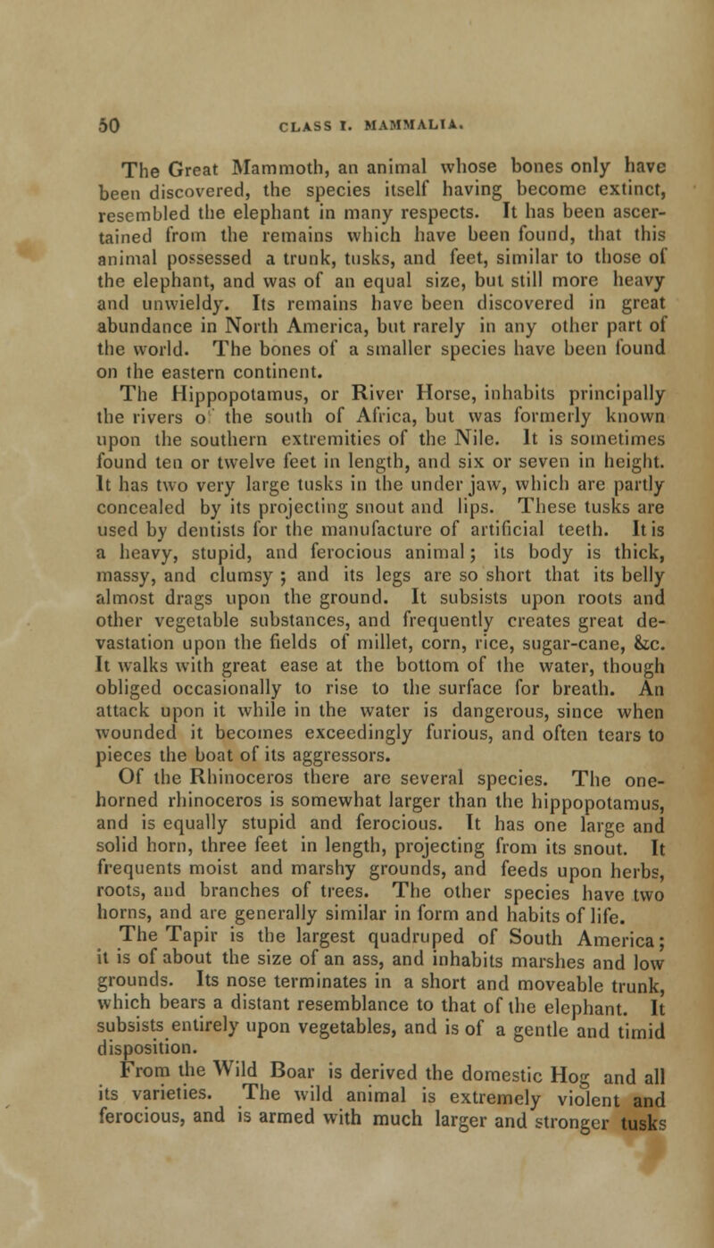 The Great Mammoth, an animal whose bones only have been discovered, the species itself having become extinct, resembled the elephant in many respects. It has been ascer- tained from the remains which have been found, that this animal possessed a trunk, tusks, and feet, similar to those of the elephant, and was of an equal size, but still more heavy and unwieldy. Its remains have been discovered in great abundance in North America, but rarely in any other part of the world. The bones of a smaller species have been found on the eastern continent. The Hippopotamus, or River Horse, inhabits principally the rivers o the south of Africa, but was formerly known upon the southern extremities of the Nile. It is sometimes found ten or twelve feet in length, and six or seven in height. It has two very large tusks in the under jaw, which are partly concealed by its projecting snout and lips. These tusks are used by dentists for the manufacture of artificial teeth. It is a heavy, stupid, and ferocious animal; its body is thick, massy, and clumsy ; and its legs are so short that its belly almost drags upon the ground. It subsists upon roots and other vegetable substances, and frequently creates great de- vastation upon the fields of millet, corn, rice, sugar-cane, &c. It walks with great ease at the bottom of the water, though obliged occasionally to rise to the surface for breath. An attack upon it while in the water is dangerous, since when wounded it becomes exceedingly furious, and often tears to pieces the boat of its aggressors. Of the Rhinoceros there are several species. The one- horned rhinoceros is somewhat larger than the hippopotamus, and is equally stupid and ferocious. It has one large and solid horn, three feet in length, projecting from its snout. It frequents moist and marshy grounds, and feeds upon herbs, roots, and branches of trees. The other species have two horns, and are generally similar in form and habits of life. The Tapir is the largest quadruped of South America; it is of about the size of an ass, and inhabits marshes and low grounds. Its nose terminates in a short and moveable trunk, which bears a distant resemblance to that of the elephant. It subsists entirely upon vegetables, and is of a gentle and timid disposition. From the Wild Boar is derived the domestic Hog and all its varieties. The wild animal is extremely violent and ferocious, and is armed with much larger and stronger tusks