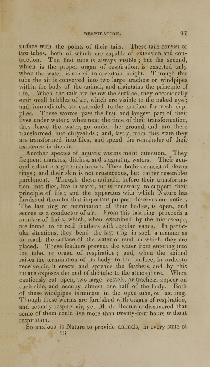 surface with the points of their tails. These tails consist of two tubes, both of which are capable of extension and con- traction. The first tube is always visible ; but the second, which is the proper organ of respiration, is exserted only when the water is raised to a certain height. Through this tube the air is conveyed into two large tracheae or windpipes within the body of the animal, and maintains the principle of life. When the tails are below the surface, they occasionally emit small bubbles of air, which are visible to the naked eye ; and immediately are extended to the surface for fresh sup- plies. These worms pass the first and longest part of their lives under water ; when near the time of their transformation, they leave the water, go under the ground, and are there transformed into chrysalids ; and, lastly, from this state they are transformed into flies, and spend the remainder of their existence in the air. Another species of aquatic worms merit attention. They frequent marshes, ditches, and stagnating waters. Their gen- eral colour is a greenish brown. Their bodies consist of eleven rings; and their skin is not crustaceous, but rather resembles parchment. Though these animals, before their transforma- tion into flies, live in water, air is necessary to support their principle of life; and the apparatus with which Nature has furnished them for that important purpose deserves our notice. The last ring or termination of their bodies, is open, and serves as a conductor of air. From this last ring proceeds a number of hairs, which, when examined by the microscope, are found to be real feathers with regular vanes. In partic- ular situations, they bend the last ring in such a manner as to reach the surface of the water or mud in which they are placed. These feathers prevent the water from entering into the tube, or organ of respiration ; and, when the animal raises the termination of its body to the surface, in order to receive air, it erects and spreads the feathers, and by this means exposes the end of the tube to the atmosphere. When cautiously cut open, two large vessels, or trachea?, appear on each side, and occupy almost one half of the body. Both of these windpipes terminate in the open tube, or last ring. Though these worms are furnished with organs of respiration, and actually respire air, yet M. de Reaumur discovered that some of them could live more than twenty-four hours without respiration. So anxious is Nature to provide animals, in every state of 13