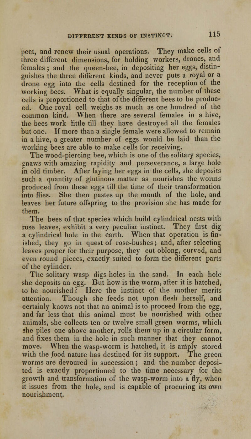 pect, and renew their usual operations. They make cells of three different dimensions, for holding workers, drones, and females; and the queen-bee, in depositing her eggs, distin- guishes the three different kinds, and never puts a royal or a drone egg into the cells destined for the reception of the working bees. What is equally singular, the number of these cells is proportioned to that of the different bees to be produc- ed. One royal cell weighs as much as one hundred of the common kind. When there are several females in a hive, the bees work little till they have destroyed all the females but one. If more than a single female were allowed to remain in a hive, a greater number of eggs would be laid than the working bees are able to make cells for receiving. The wood-piercing bee, which is one of the solitary species, gnaws with amazing rapidity and perseverance, a large hole in old timber. After laying her eggs in the cells, she deposits such a quantity of glutinous matter as nourishes the worms produced from these eggs till the time of their transformation into flies. She then pastes up the mouth of the hole, and leaves her future offspring to the provision she has made for them. The bees of that species which build cylindrical nests with rose leaves, exhibit a very peculiar instinct. They first dig a cylindrical hole in the earth. When that operation is fin- ished, they go in quest of rose-bushes; and, after selecting leaves proper for their purpose, they cut oblong, curved, and even round pieces, exactly suited to form the different parts of the cylinder. The solitary wasp digs holes in the sand. In each hole she deposits an egg. But how is the worm, after it is hatched, to be nourished ? Here the instinct of the mother merits attention. Though she feeds not upon flesh herself, and certainly knows not that an animal is to proceed from the egg, and far less that this animal must be nourished with other animals, she collects ten or twelve small green worms, which she piles one above another, rolls them up in a circular form, and fixes them in the hole in such manner that they cannot move. When the wasp-worm is hatched, it is amply stored with the food nature has destined for its support. The green worms are devoured in succession; and the number deposi- ted is exactly proportioned to the time necessary for the growth and transformation of the wasp-worm into a fly, when it issues from the hole, and is capable of procuring its own nourishment..