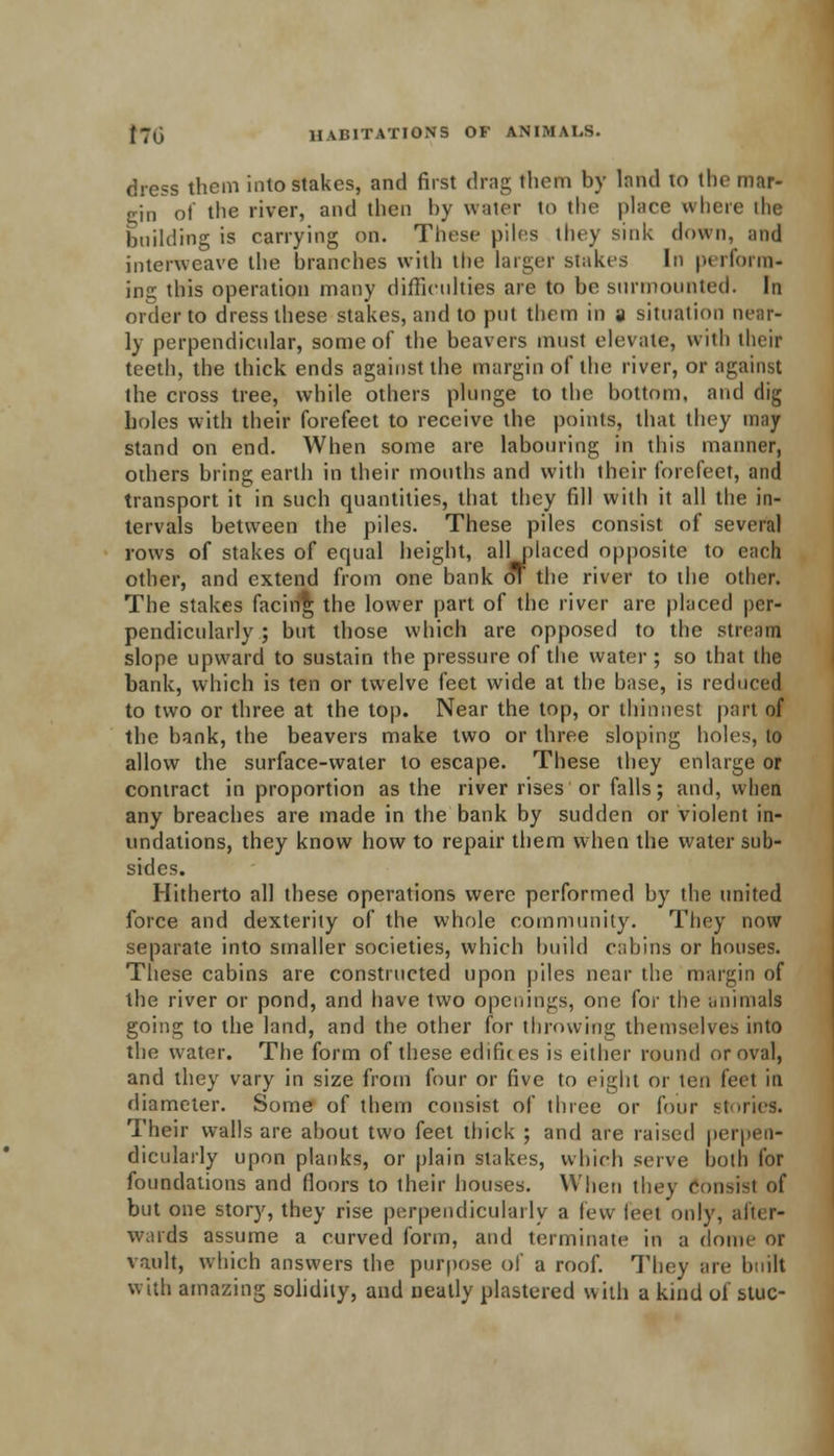 I7l. II VI5ITATI0NS OF ANIMALS. dress them into stakes, and first drag them by bud 10 the mar- gin of the river, and then by water to the |>l;ice where die building is carrying on. These piles liny sink down, and interweave the branches with the larger stakes In perform- ing this operation many difficulties are to bo surmounted. In order to dress these stakes, and to put them in j situation near- ly perpendicular, some of the beavers must elevate, with their teeth, the thick ends against the margin of the river, or against the cross tree, while others plunge to the bottom, and dig holes with their forefeet to receive the points, that they may stand on end. When some are labouring in this manner, others bring earth in their mouths and with their forefeet, and transport it in such quantities, that they fill with it all the in- tervals between the piles. These piles consist of several rows of stakes of equal height, all placed opposite to each other, and extend from one bank of the river to the other. The stakes facing the lower part of the river are placed per- pendicularly ; but those which are opposed to the stream slope upward to sustain the pressure of the water ; so that the bank, which is ten or twelve feet wide at the base, is reduced to two or three at the top. Near the top, or thinnest part of the bank, the beavers make two or three sloping holes, to allow the surface-water to escape. These they enlarge or contract in proportion as the river rises'or falls; and, when any breaches are made in the bank by sudden or violent in- undations, they know how to repair them when the water sub- sides. Hitherto all these operations were performed by the united force and dexterity of the whole community. They now separate into smaller societies, which build cabins or houses. These cabins are constructed upon piles near the margin of the river or pond, and have two openings, one for the animals going to the land, and the other for throwing themselves into the water. The form of these edifices is either round or oval, and they vary in size from four or five to eight or ten feel in diameter. Some of them consist of three or four stories. Their walls are about two feet thick ; and are raised perpen- dicularly upon planks, or plain stakes, which serve both for foundations and floors to their houses. When they consist of but one story, they rise perpendicularly a few leet only, after- wards assume a curved form, and terminate in a dome or vault, which answers the purpose of a roof. They are built with amazing solidity, and neatly plastered with a kind of stuc-