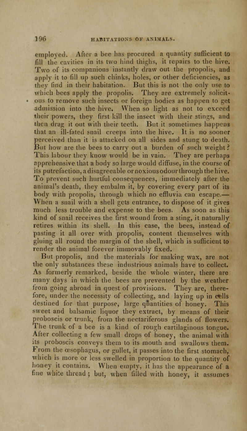 employed. After a bee lias procured a quantity sufficient to fill ihe cavities in its two hind thighs, it repairs to the hive. Two of its companions instantly draw out the propolis, and apply it to fill up such chinks, holes, or other deficiencies, as they find in their habitation, lint this is not the only use to which bees apply the propolis. They are extremely solicit- ous to remove such insects or foreign bodies as happen to get admission into the hive. When so light as not to exceed their powers, they first kill the insect with their stings, and then drag it out with their teeth. But it sometimes happen! that an ill-fated snail creeps into the hive. It is no sooner perceived than it is attacked on all sides and stung to death. But how are the bees to carry out a burden of such weight ? This labour they know would be in vain. They are perhaps apprehensive that a body so large would diffuse, in the course of its putrefaction, a disagreeable or noxious odour through the hive. To prevent such hurtful consequences, immediately after the animal's death, they embalm it, by covering every part of its body with propolis, through which no effluvia can escape.— When a snail with a shell gets entrance, to dispose of it gives much less trouble and expense to the bees. As soon as this kind of snail receives the first wound from a sting, it naturally retires within its shell. In this case, the bees, instead of pasting it all over with propolis, content themselves with gluing all round the margin of the shell, which is sufficient to render the animal forever immovably fixed. But propolis, and the materials for making wax, are not the only substances these industrious animals have to collect. As formerly remarked, beside the whole winter, there are many days in which the bees are prevented by the weather from going abroad in quest of provisions. They are, there- fore, under the necessity of collecting, and laying up in c^lls destined for that purpose, large quantities of honey. This sweet and balsamic liquor they extract, by means of their proboscis or trunk, from the nectariferous glands of flowers. The trunk of a bee is a kind of rough cartilaginous tongue. After collecting a few small drops of honey, the animal with its proboscis conveys them to its mouth and swallows them. From the oesophagus, or gullet, it passes into the first stomach, which is more or less swelled in proportion to the quantity of honey it contains. When empty, it has the appearance of a fine white thread ; but, when filled with honey, it assumes